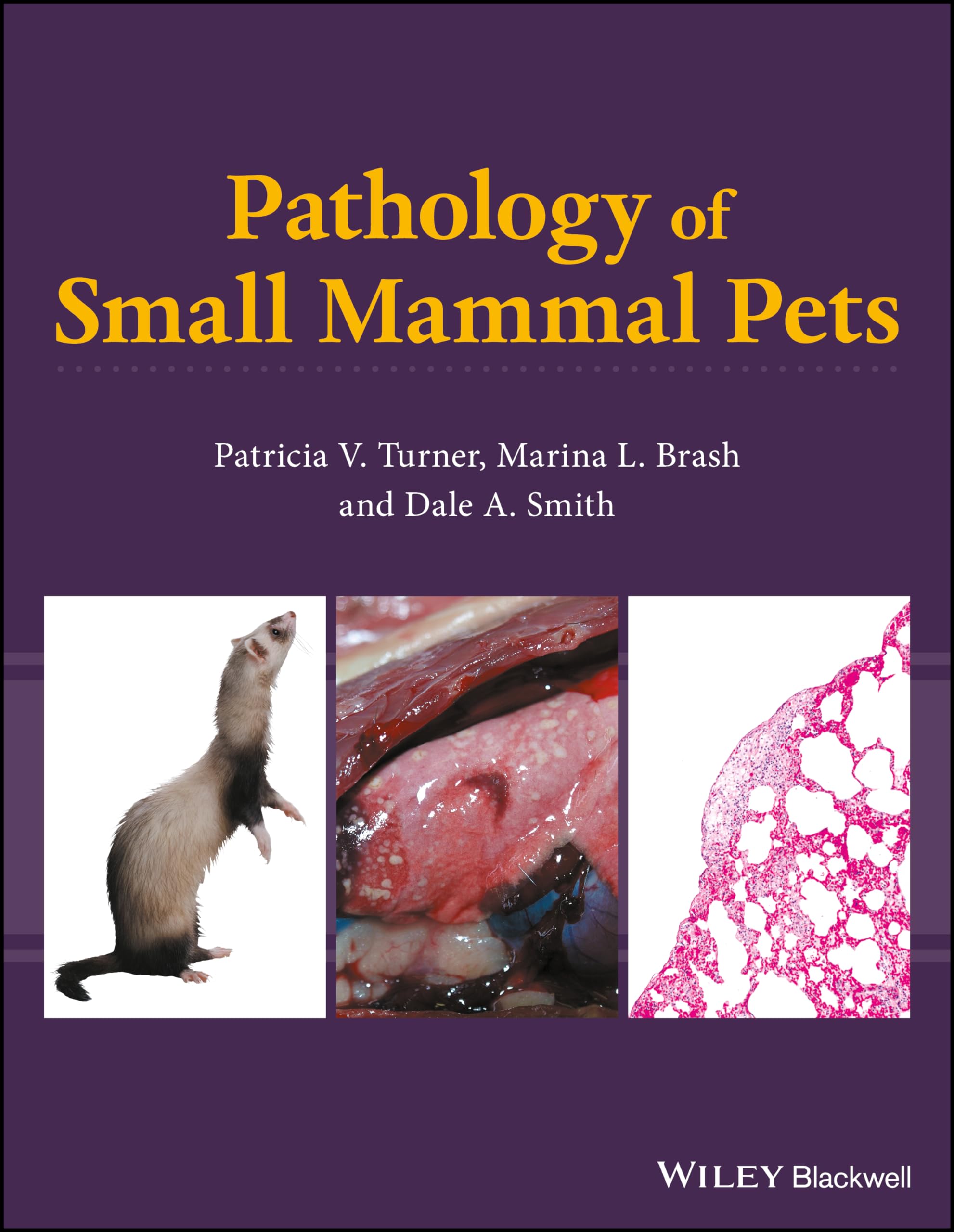 Pathology of Small Mammal Pets Medicine