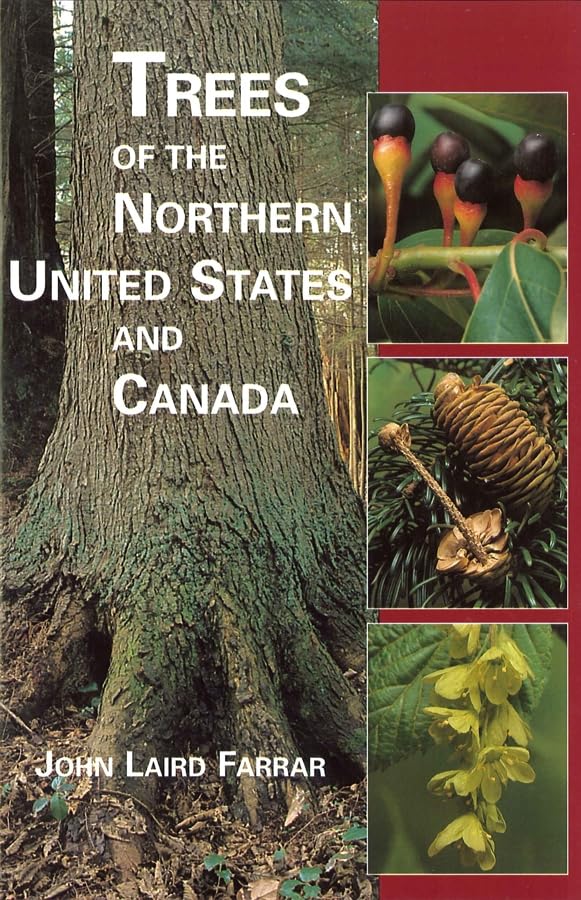 Trees of the Northern United States and Canada book