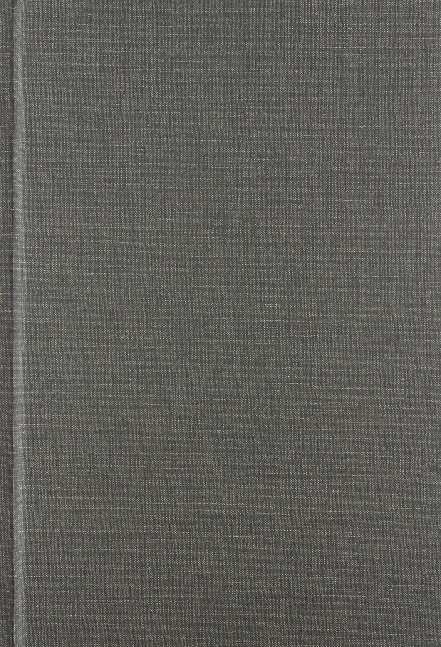 Race Relations Litigation in an Age of Complexity (Constitutionalism and Democracy) Law