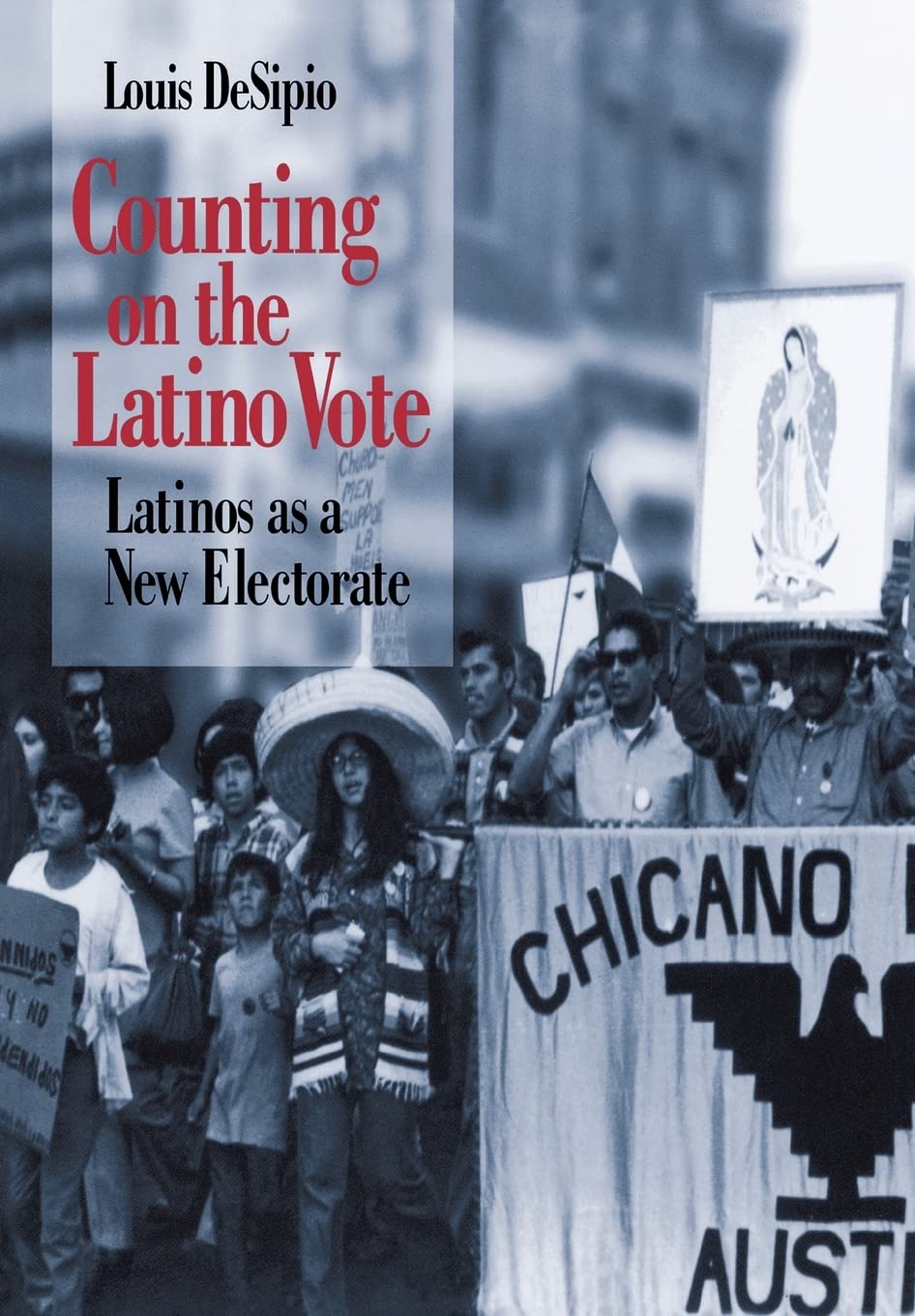 Counting on the Latino Vote: Latinos as a New Electorate (Race and Ethnicity in Urban Politics) Books