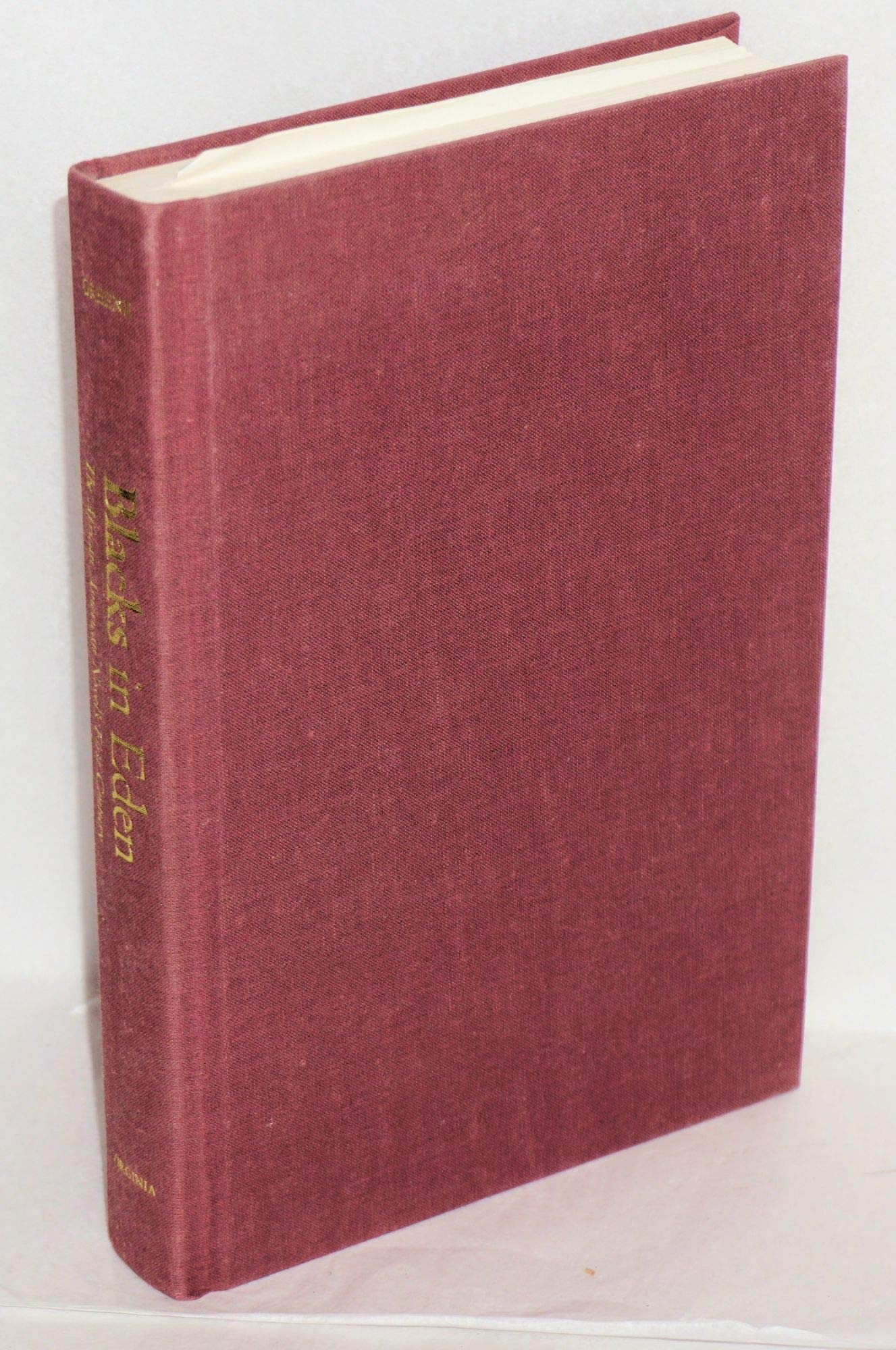 Blacks in Eden: The African American Novel's First Century Books