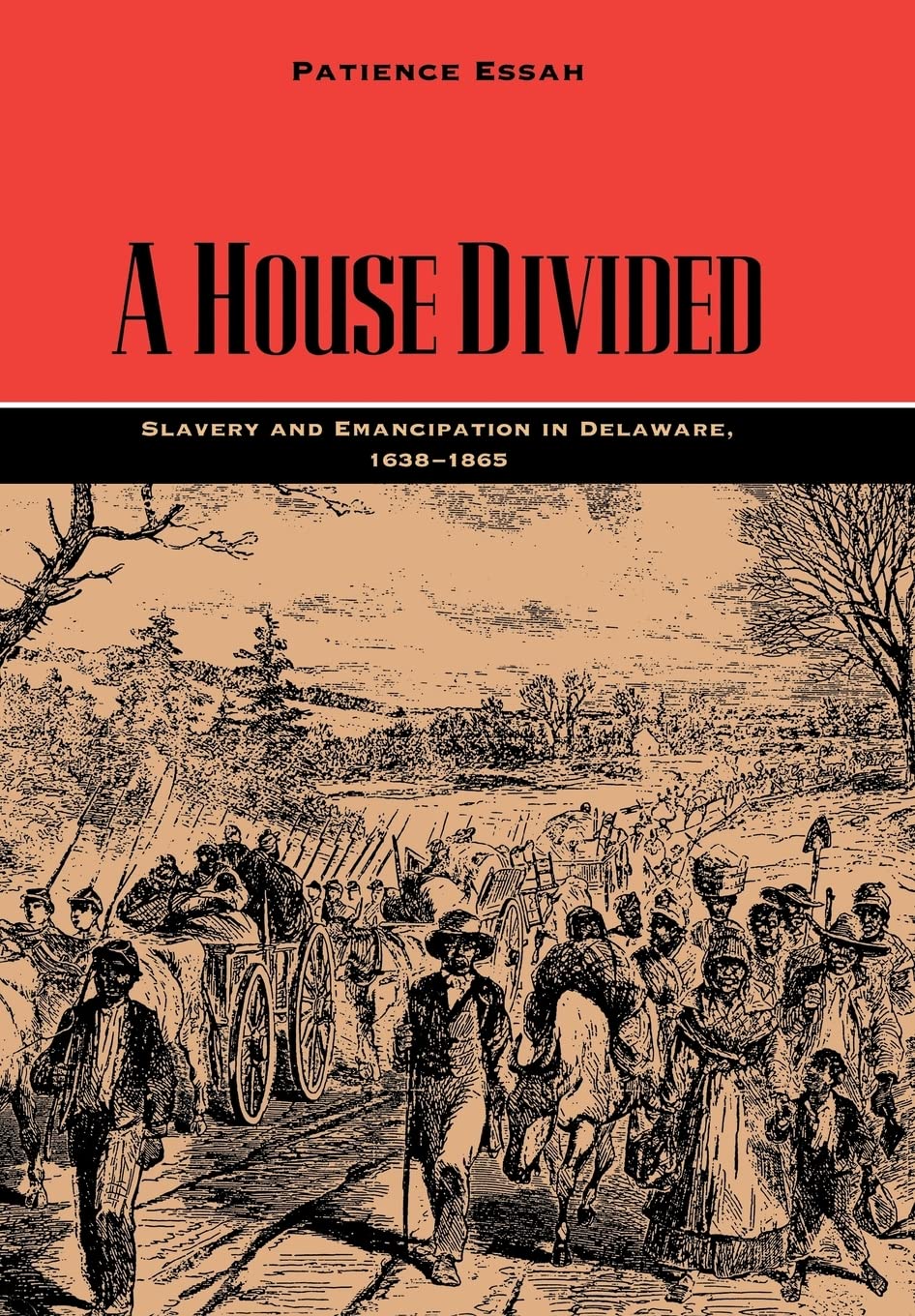 A House Divided: Slavery and Emancipation in Delaware, 1638-1865 (Carter G. Woodson Institute Series in Black Studies) Books