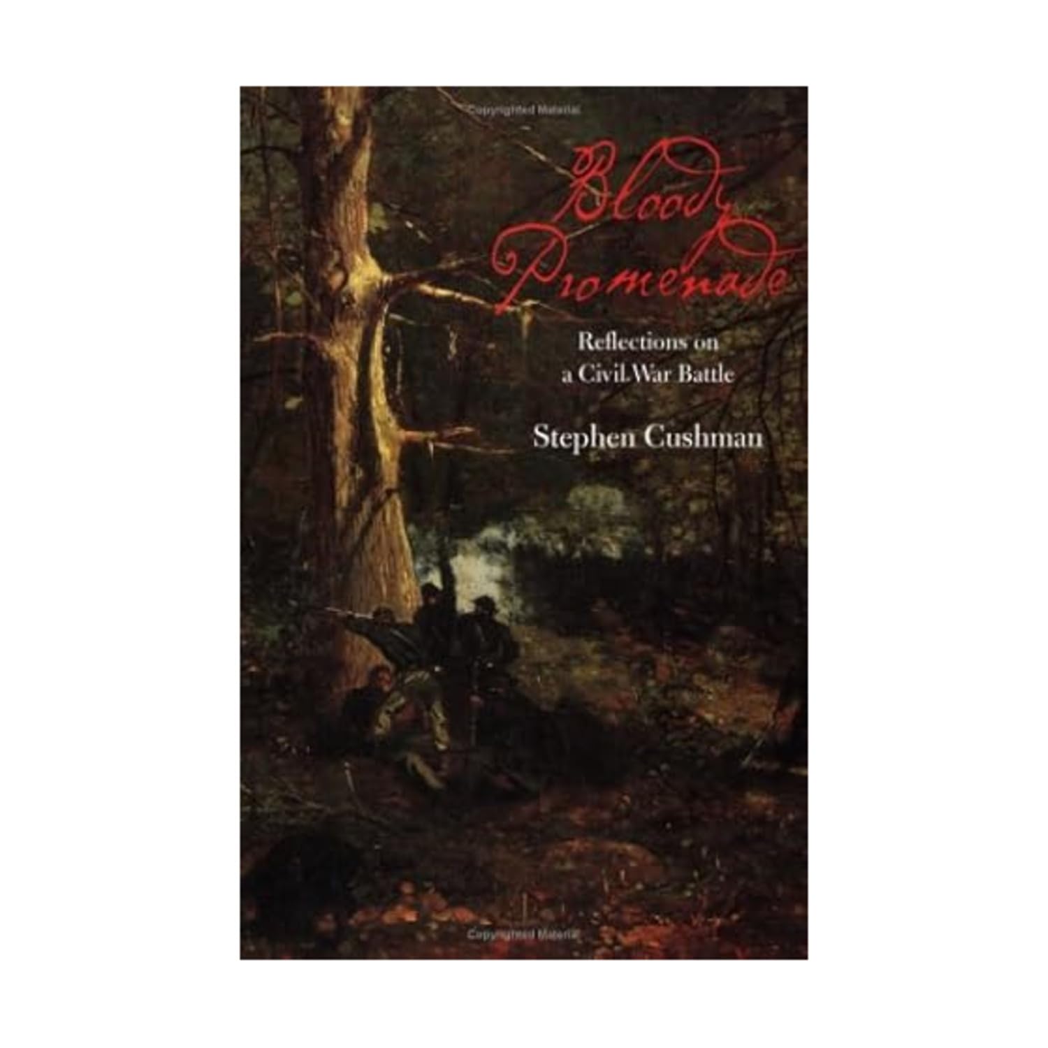 Bloody Promenade: Reflections on a Civil War Battle (The American South Series) Contemporary literature