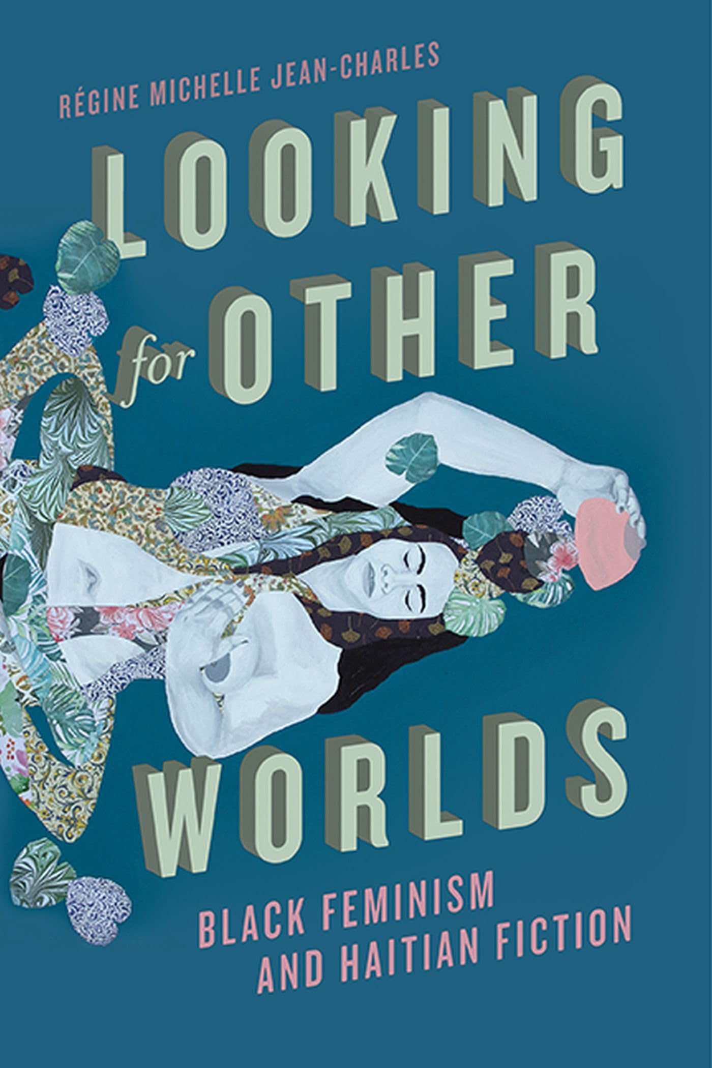 Looking for Other Worlds: Black Feminism and Haitian Fiction (New World Studies) Books
