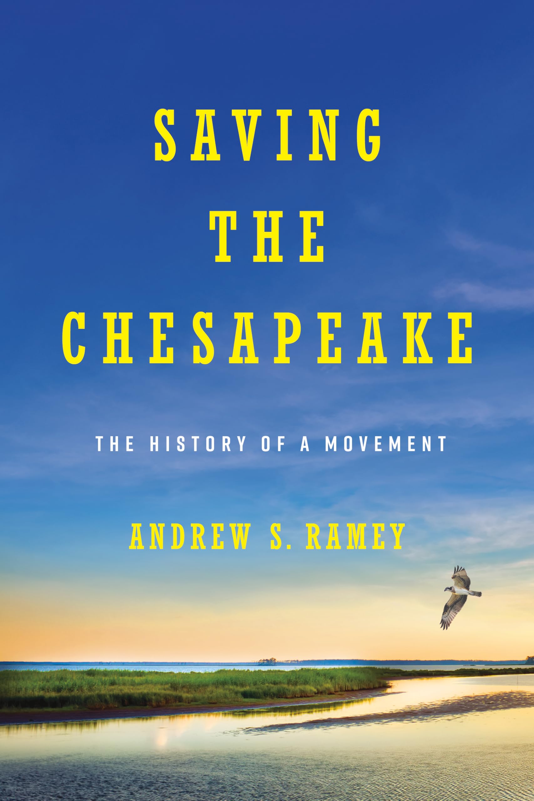 Saving the Chesapeake: The History of a Movement Leisure, Home & Garden