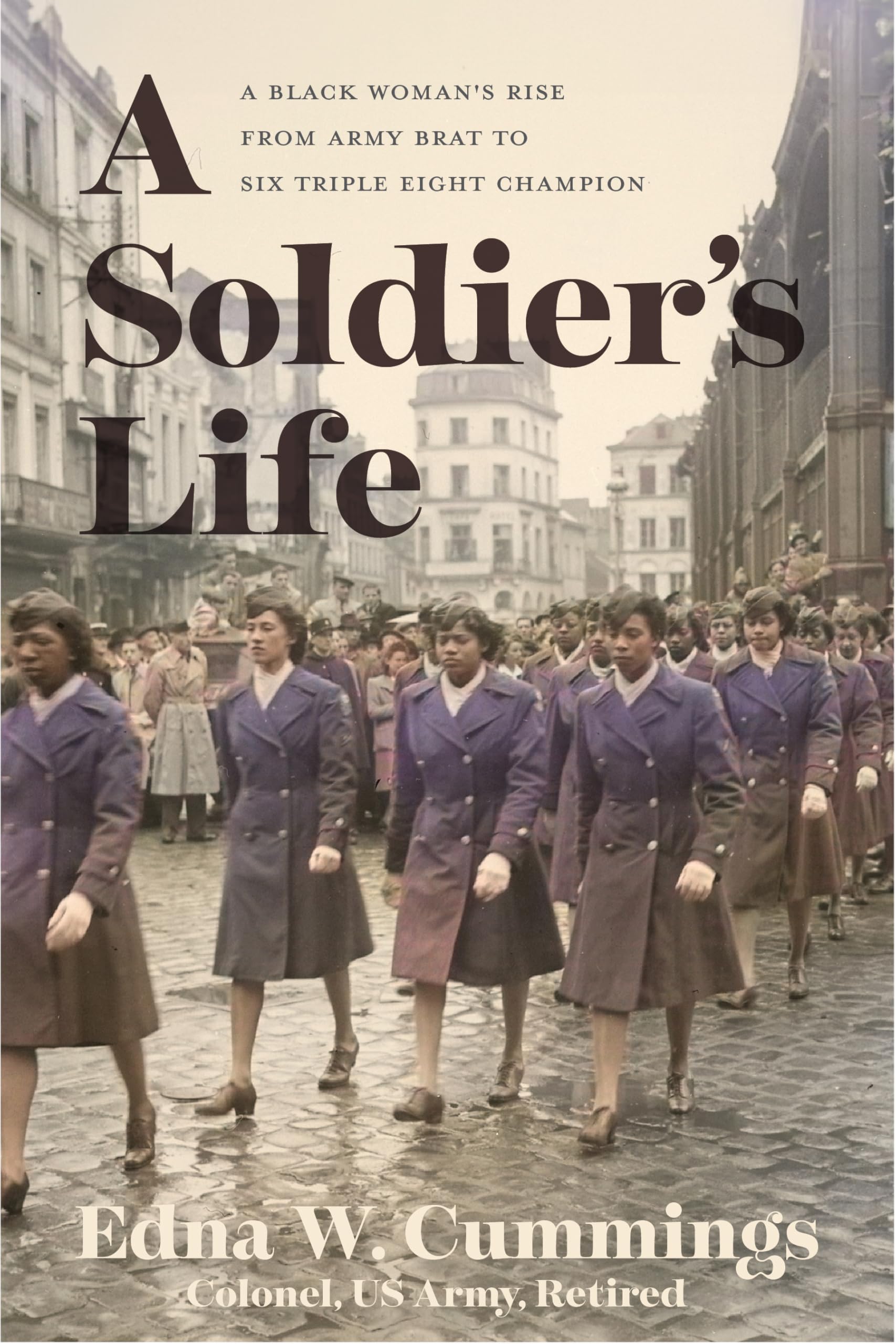A Soldier's Life: New Narratives and Critical Perspectives (Black Soldier in War and Society) Memories