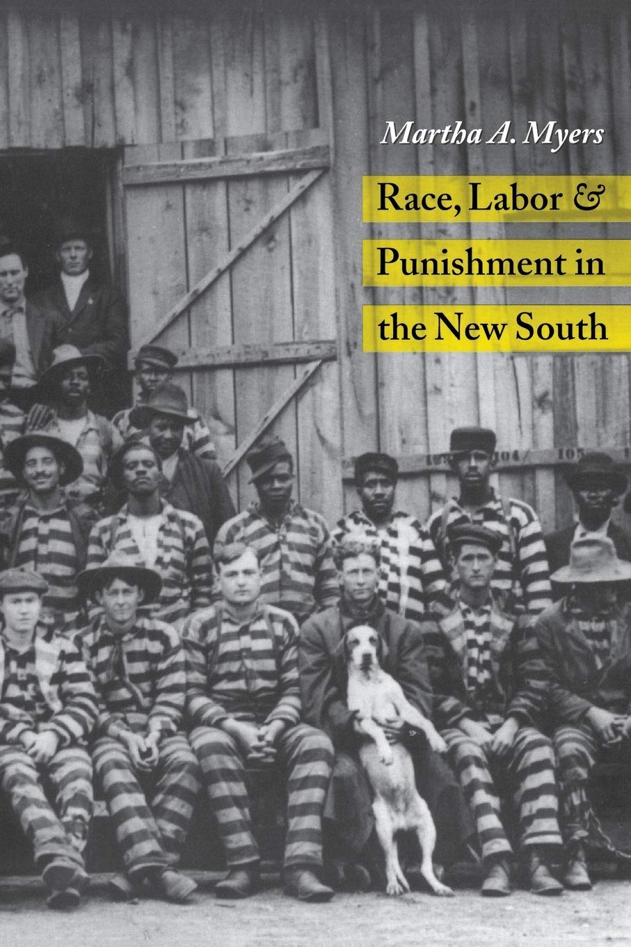 Race, Labor, and Punishment in the New South book