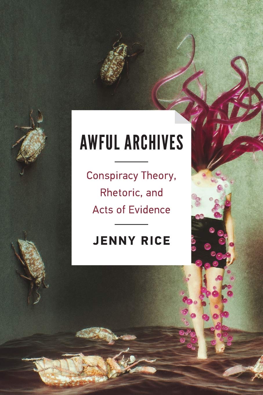 Awful Archives: Conspiracy Theory, Rhetoric, and Acts of Evidence Social Sciences