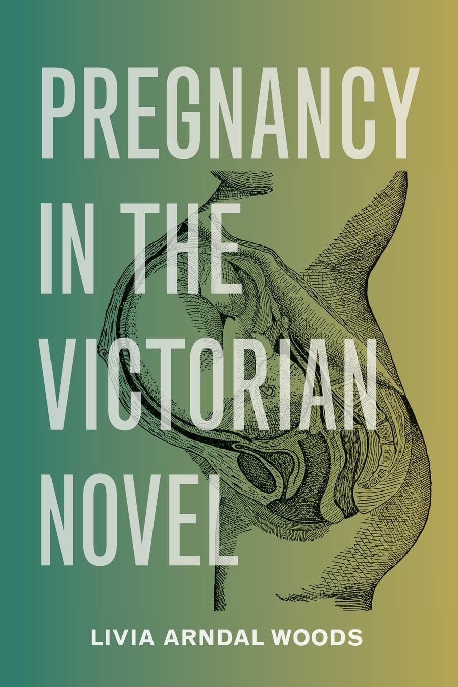 Pregnancy in the Victorian Novel Contemporary literature