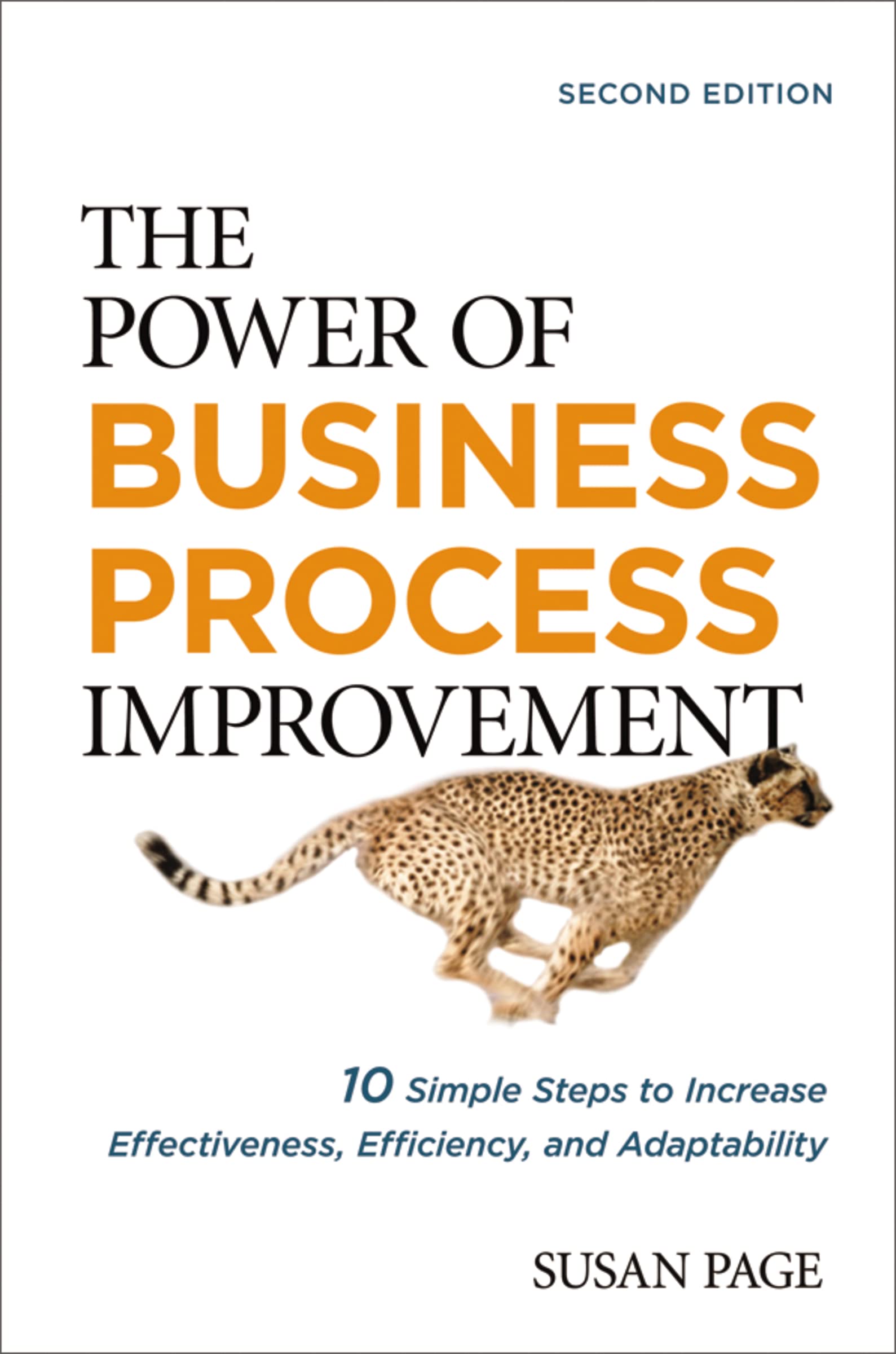 The Power of Business Process Improvement: 10 Simple Steps to Increase Effectiveness, Efficiency, and Adaptability Business, Finance & Career