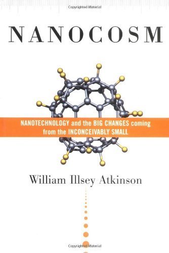 Nanocosm: Nanotechnology and the Big Changes Coming from the Inconceivably Small Social Sciences