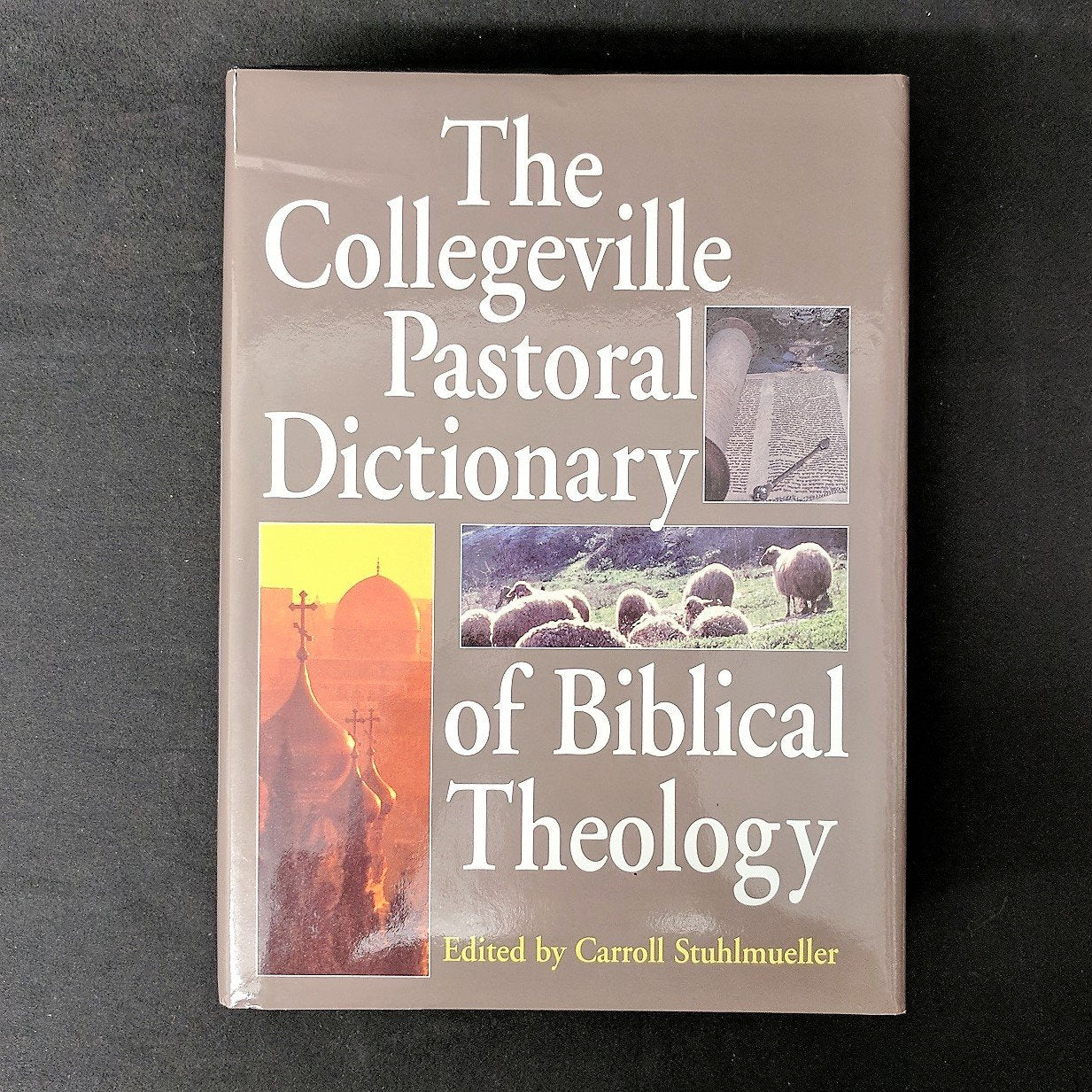 The Collegeville Pastoral Dictionary of Biblical Theology Religion & Esotericism