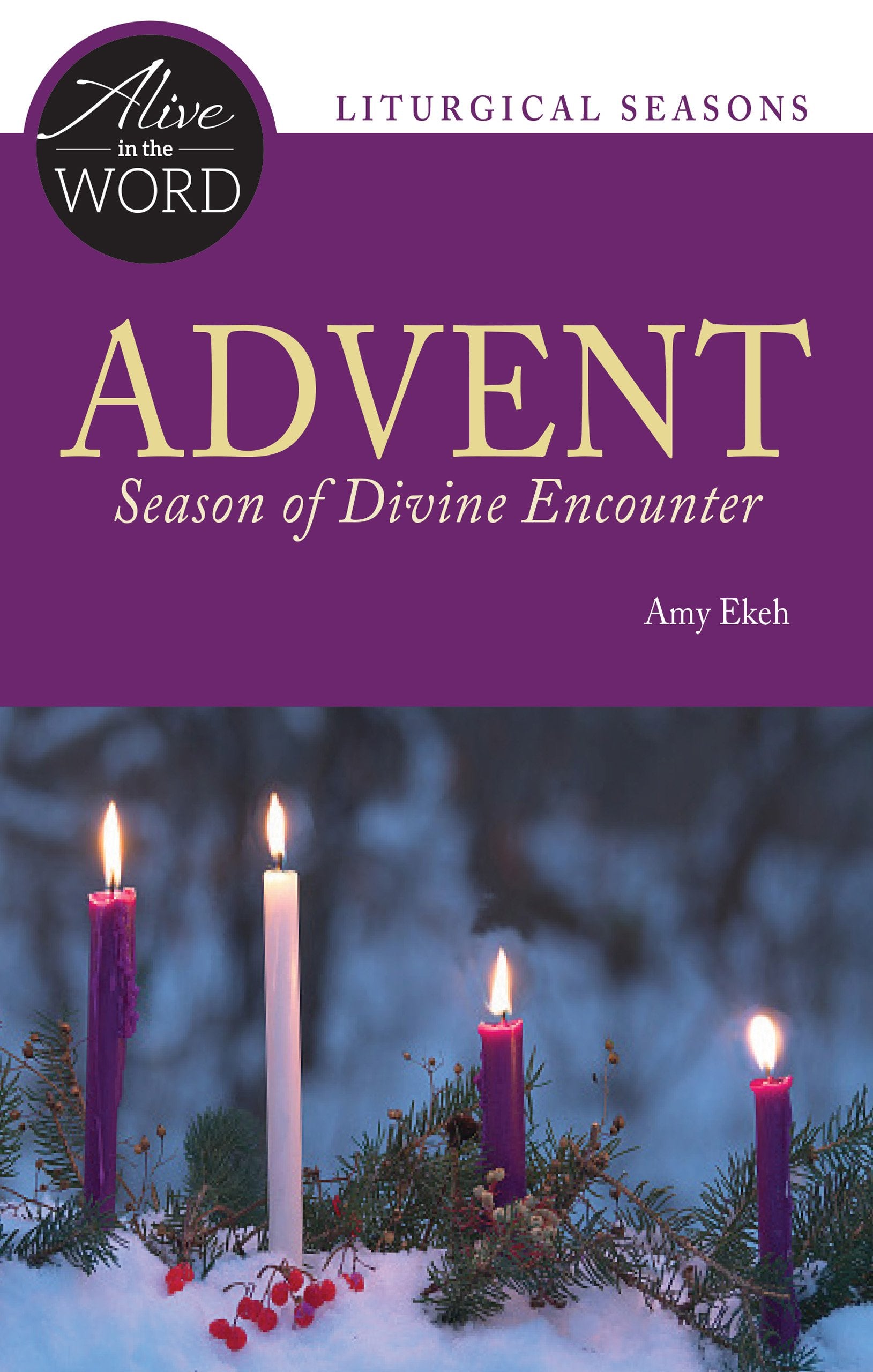 Advent, Season of Divine Encounter (Alive in the Word) Social Sciences