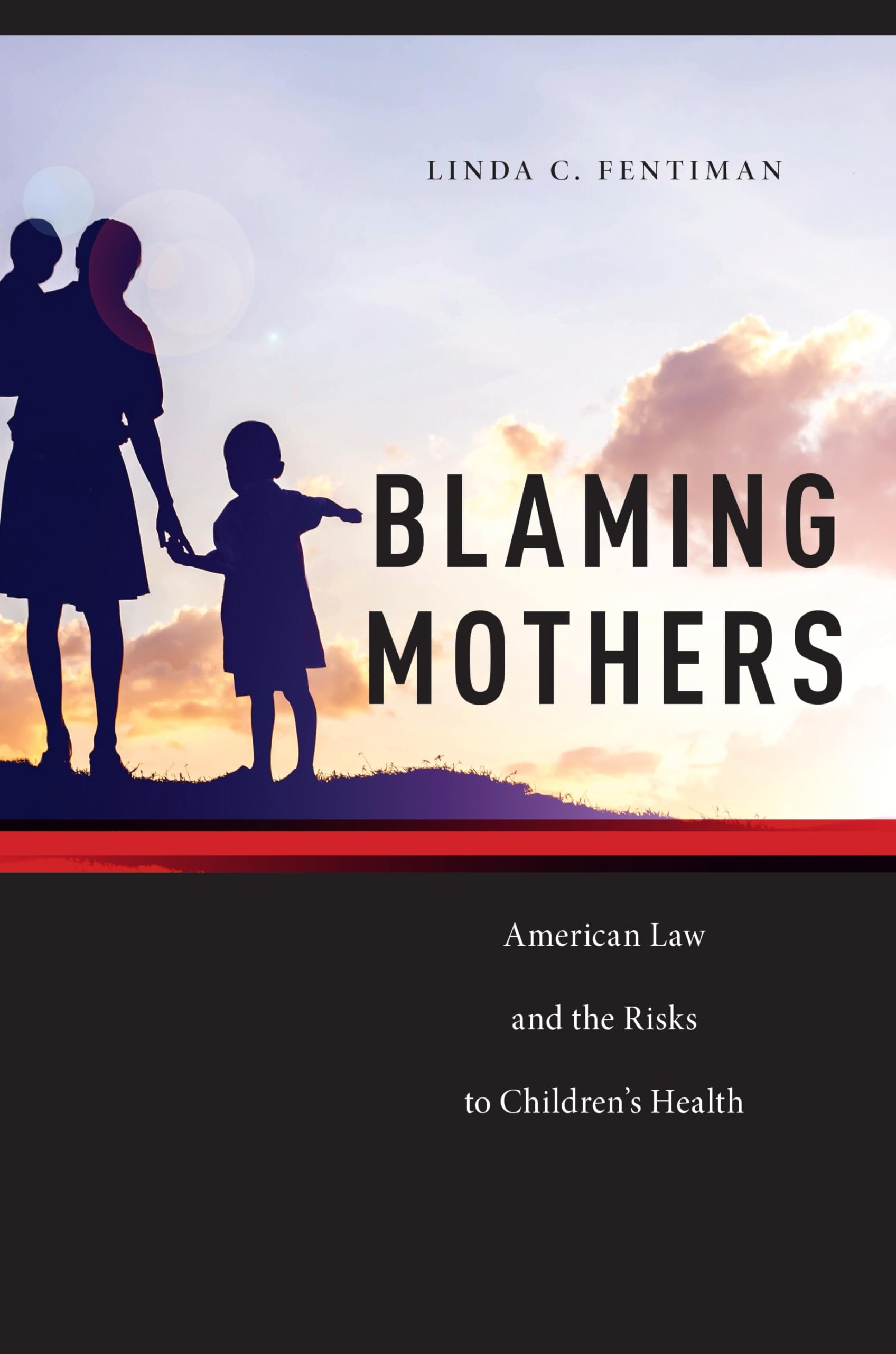 Blaming Mothers: American Law and the Risks to Children’s Health (Families, Law, and Society) Medicine