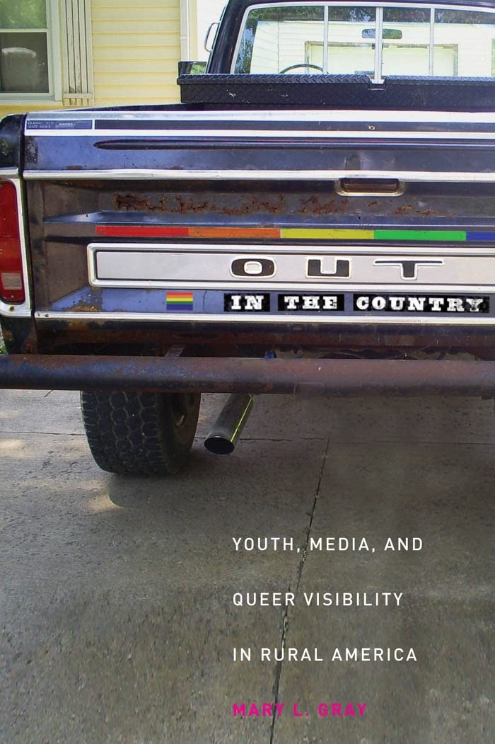 Out in the Country: Youth, Media, and Queer Visibility in Rural America (Intersections: Transdisciplinary Perspectives on Genders and Sexualities) Social Sciences