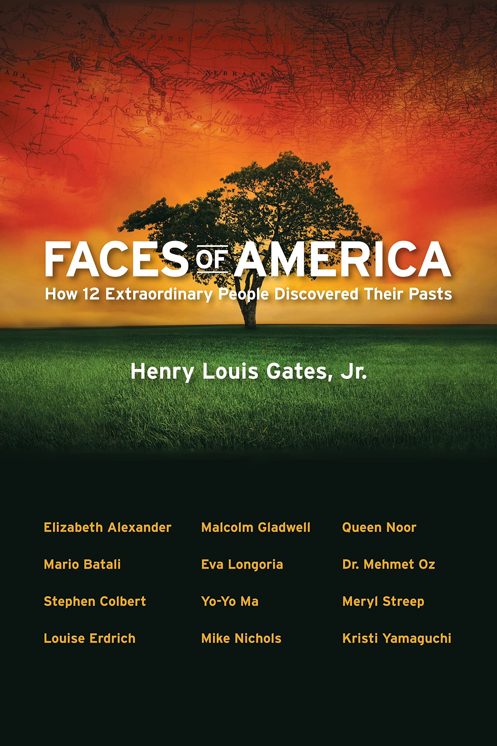 Faces of America: How 12 Extraordinary People Discovered Their Pasts Reference Books