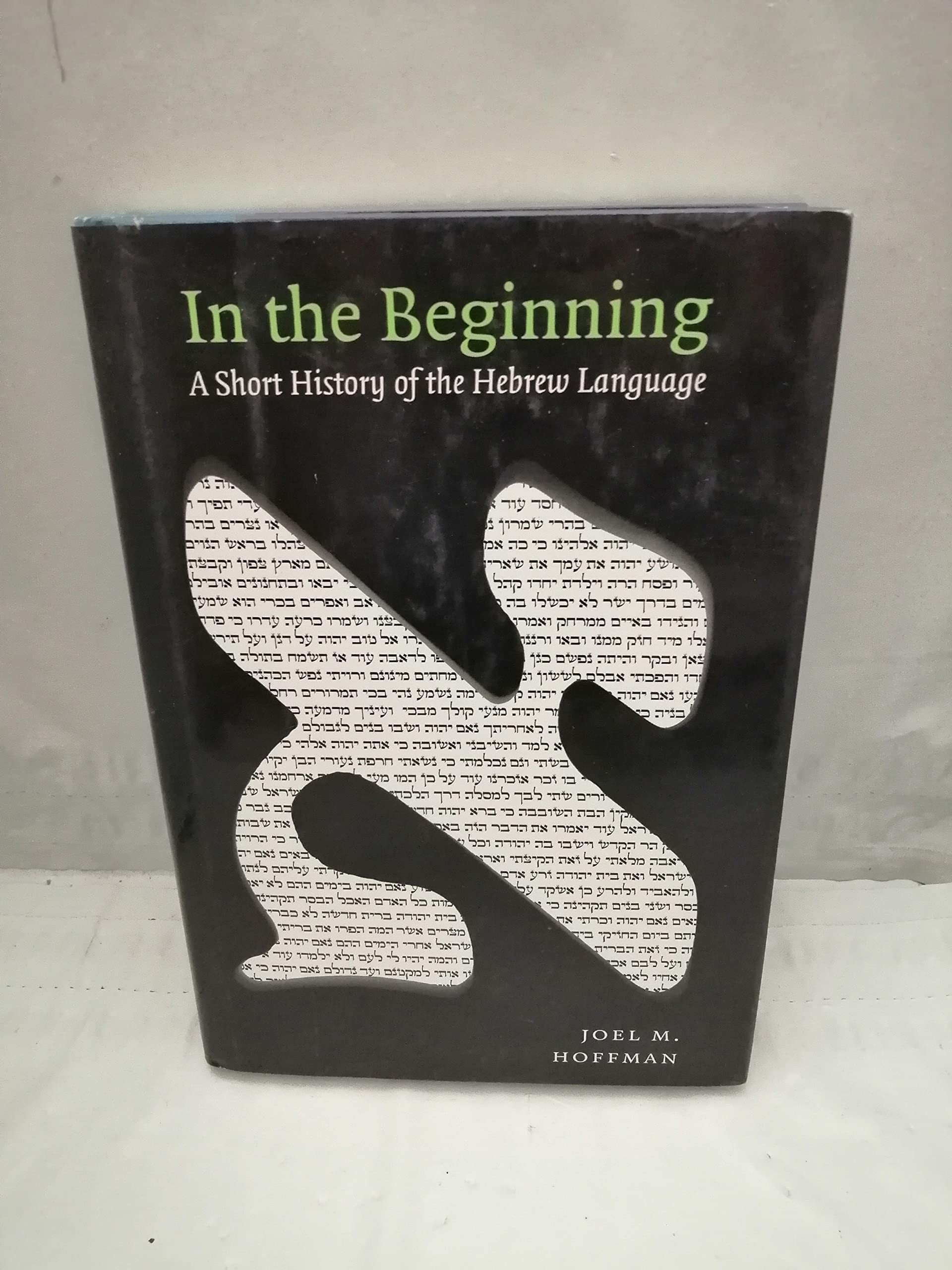 In the Beginning: A Short History of the Hebrew Language book