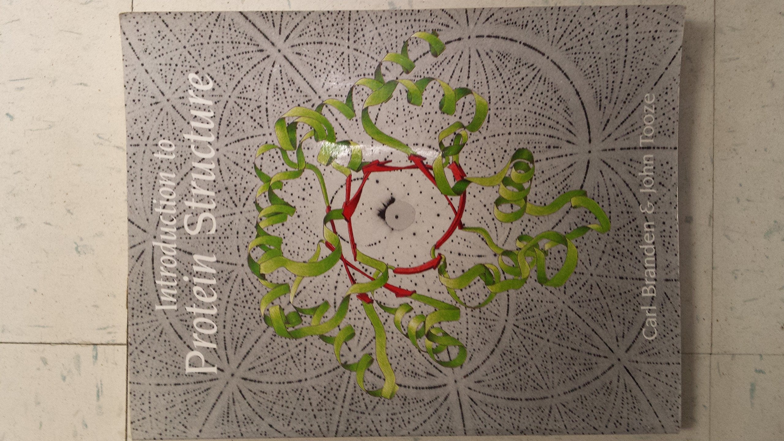 Product Image: Introduction to Protein Structure