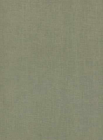 Accounting in France = LA Comptabilite En France: Historical Essays = Etudes Historiques (New Works in Accounting History) Business, Finance & Career