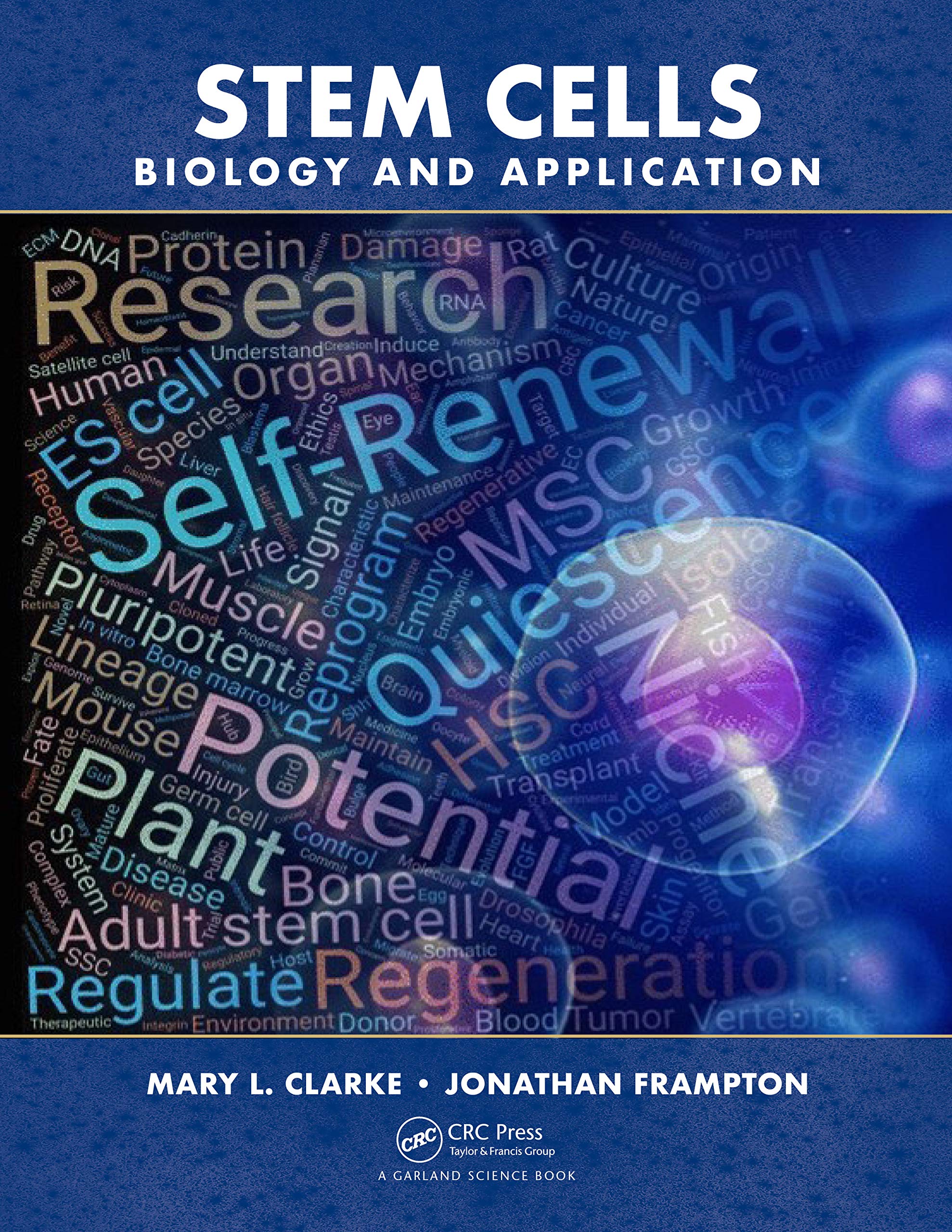Stem Cells: Biology and Application Medicine
