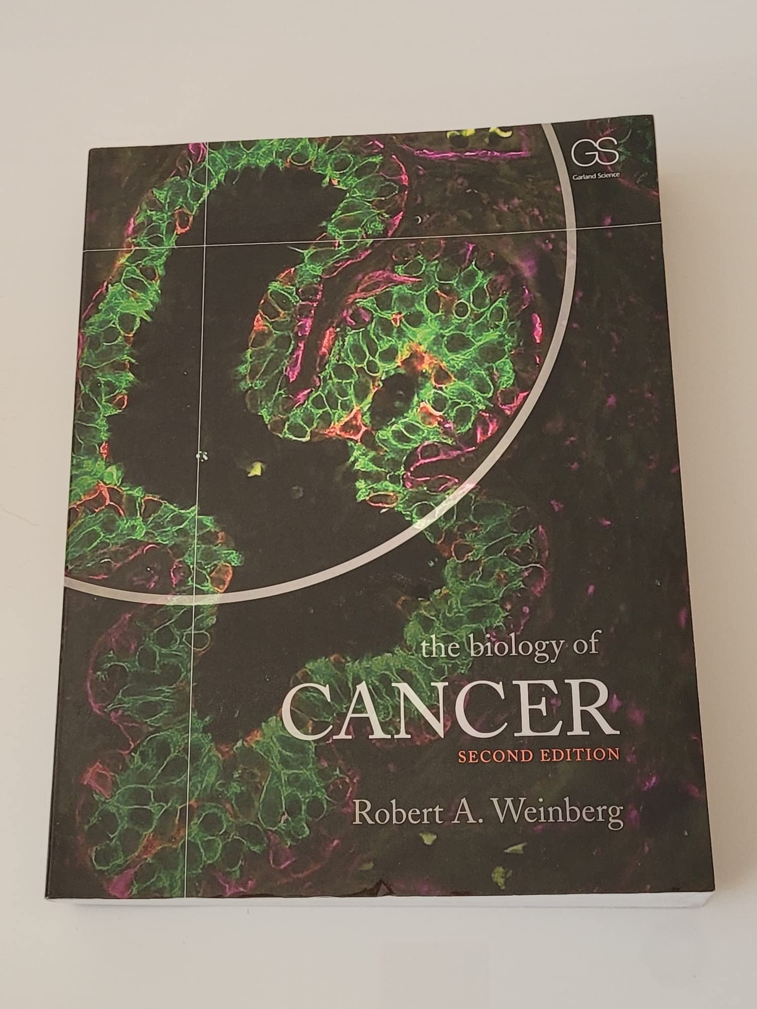 The Biology of Cancer Medicine