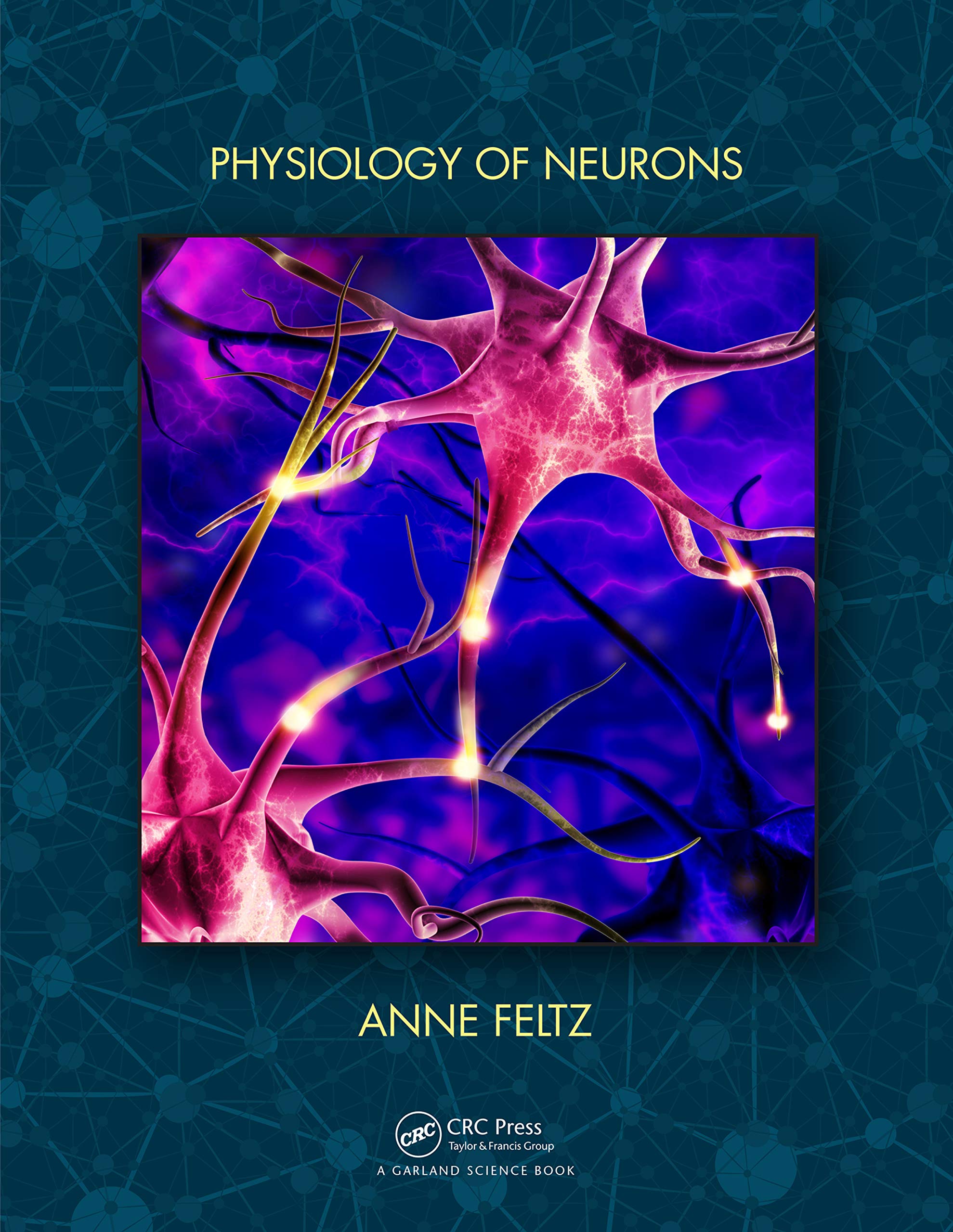 Physiology of Neurons Medicine