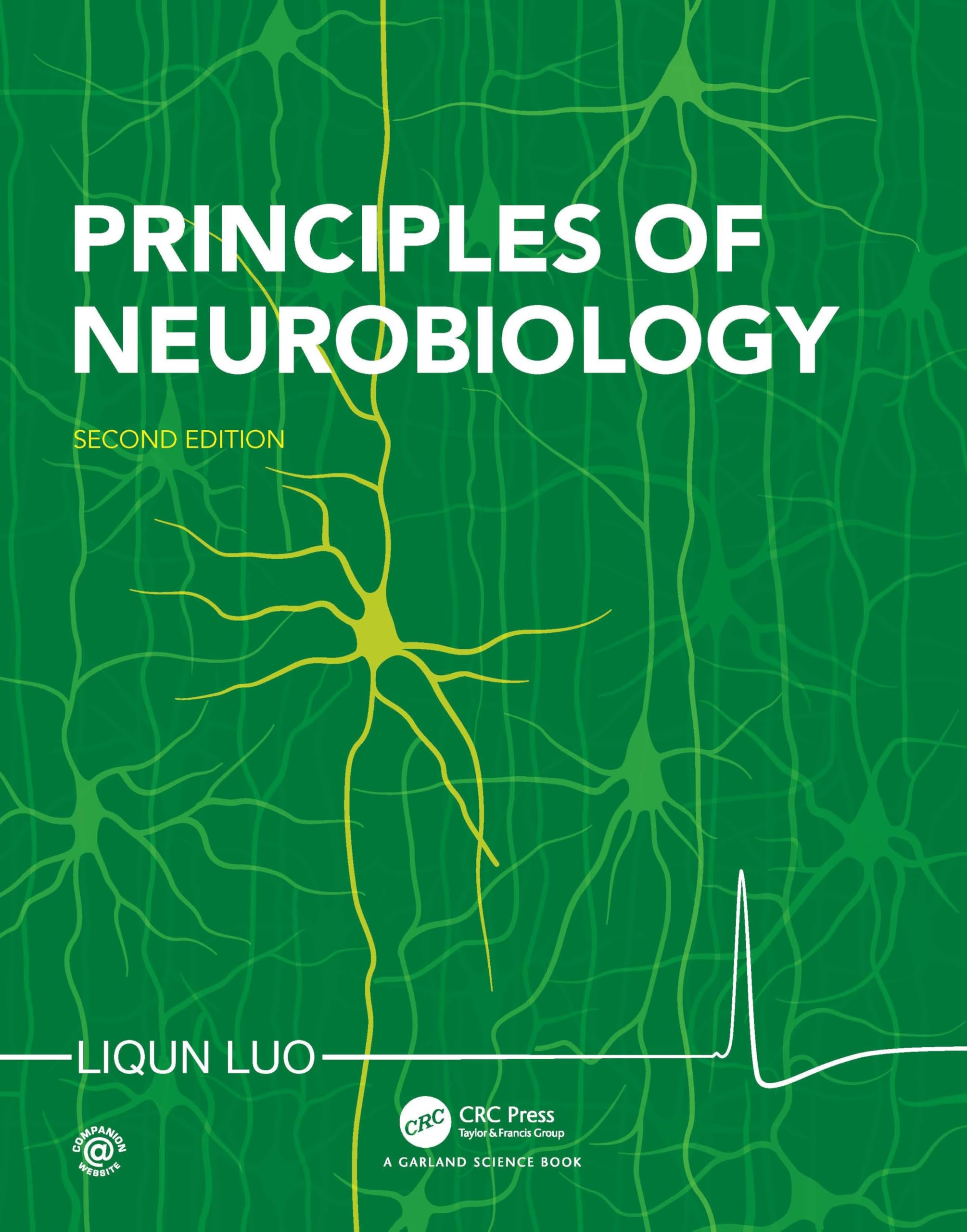 Principles of Neurobiology Medicine