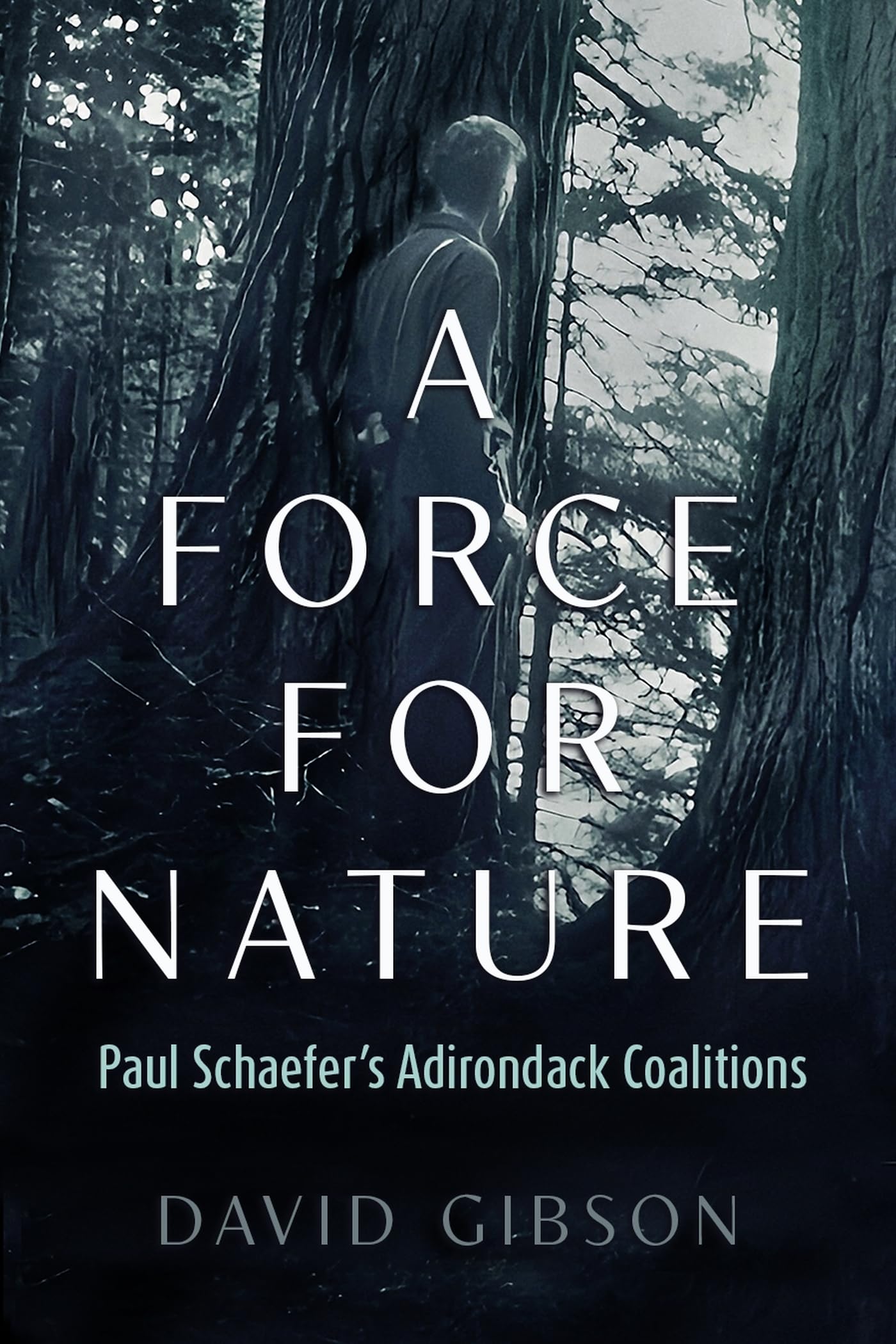 A Force for Nature: Paul Schaefer's Adirondack Coalitions (New York State) Sports