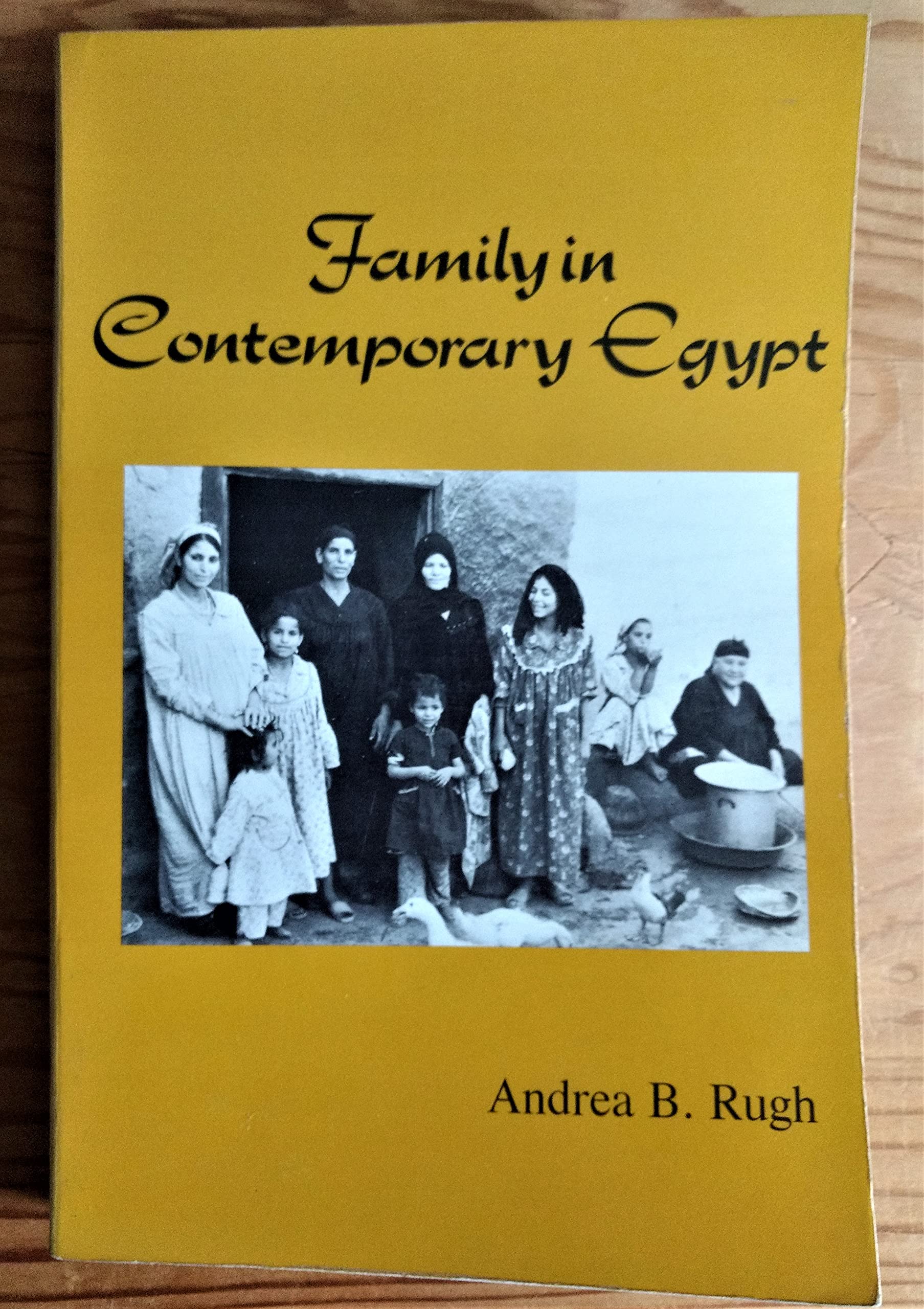 Family in Contemporary Egypt Partnership & Love