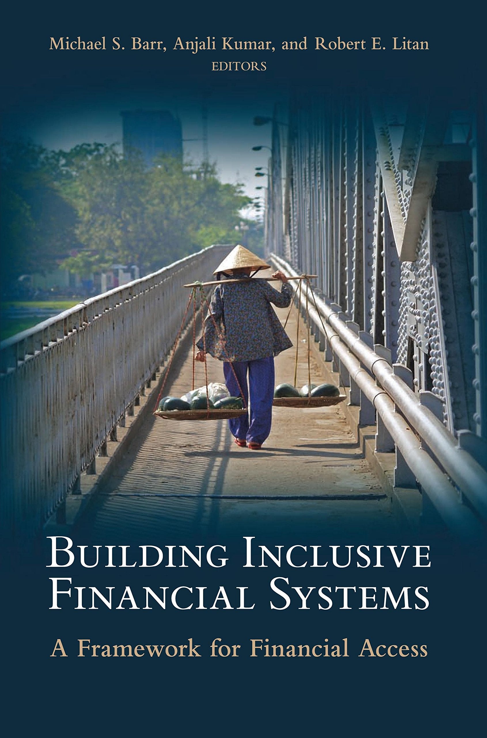 Building Inclusive Financial Systems: A Framework for Financial Access (World Bank/IMF/Brookings Emerging Market) Business, Finance & Career
