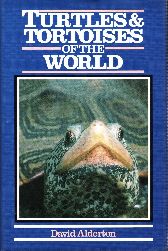 Turtles and Tortoises of the World Business & Technology