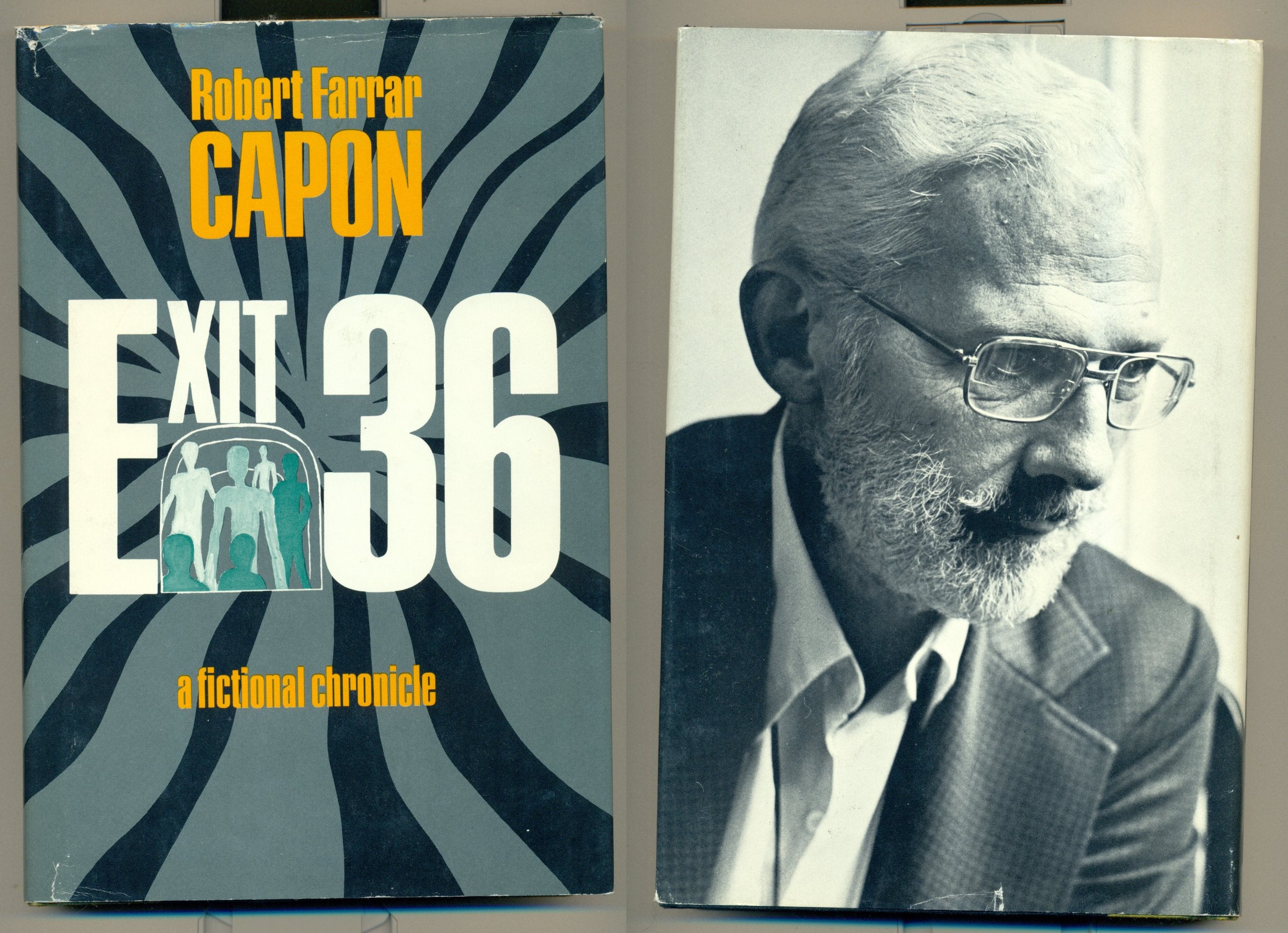 Product Image: Exit 36: A fictional chronicle