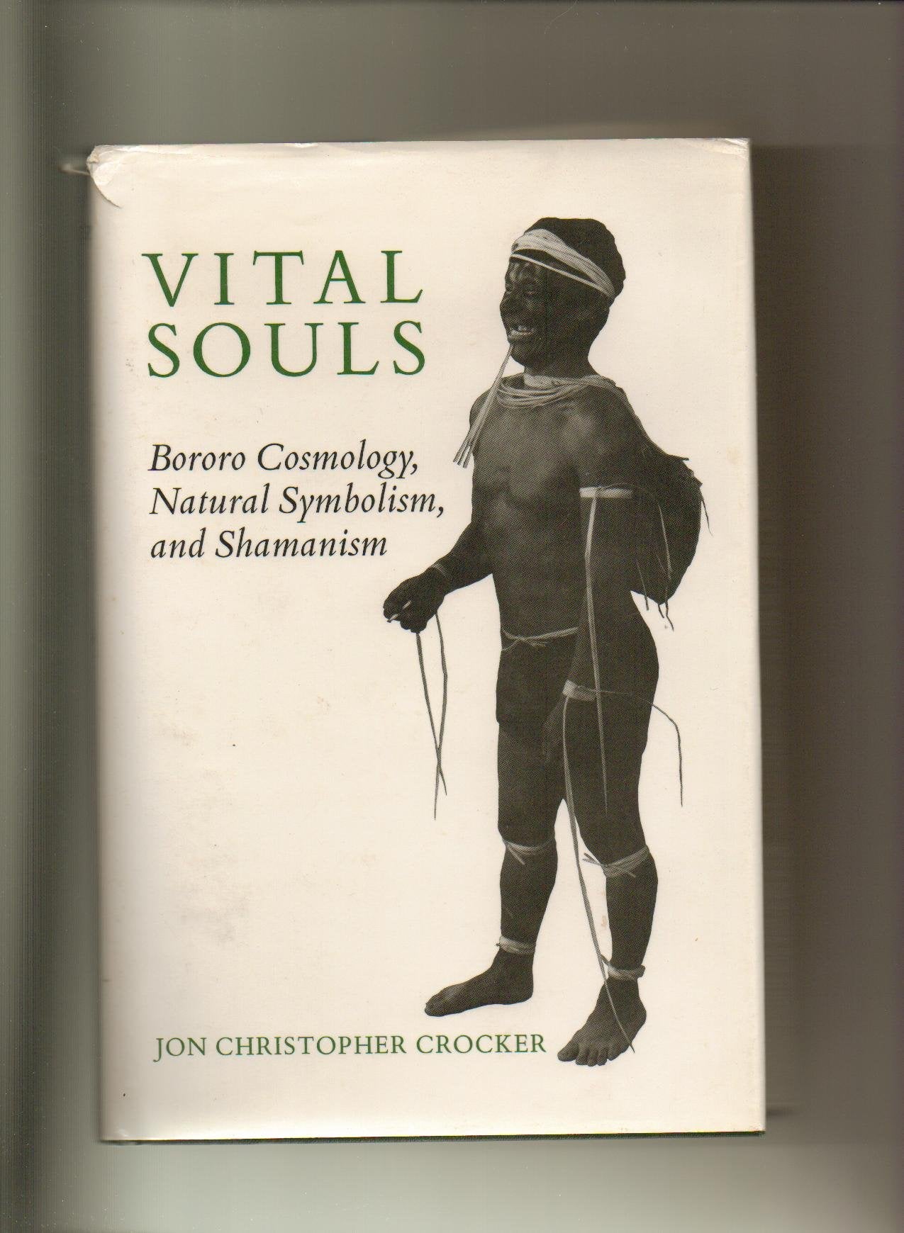 Vital Souls: Bororo Cosmology, Natural Symbolism, and Shamanism (The Anthropology of Form and Meaning) Philosophy