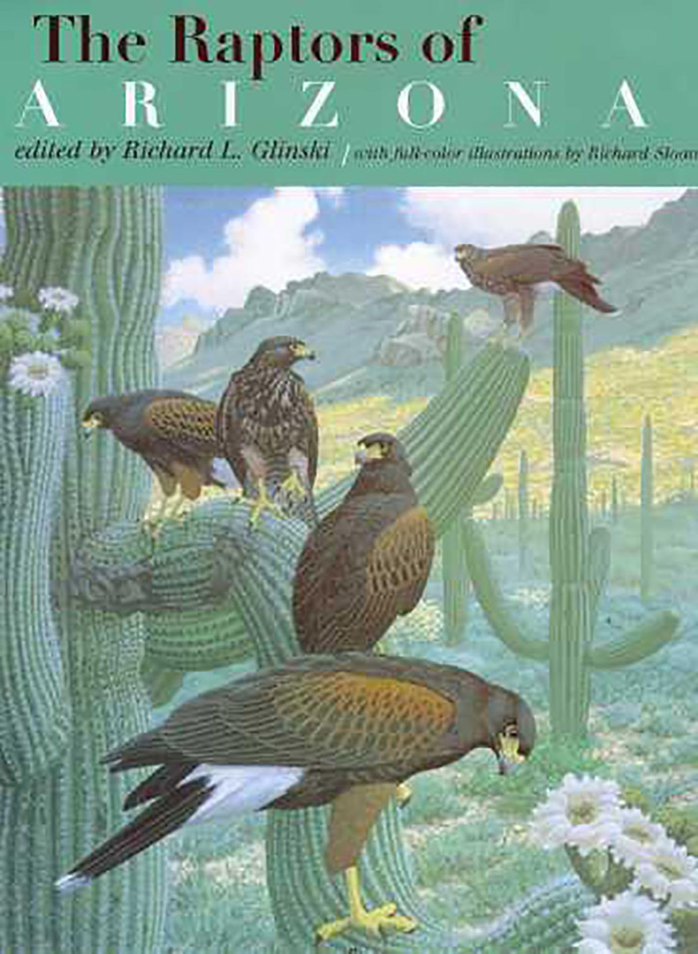 The Raptors of Arizona Mathematics