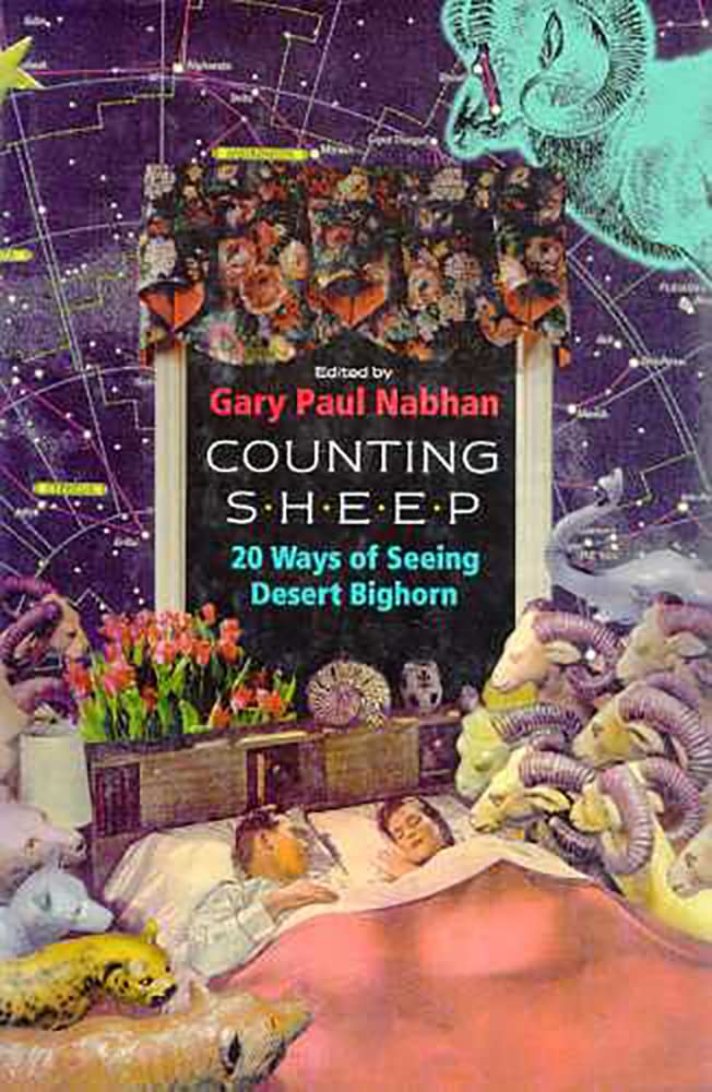 Counting Sheep: Twenty Ways of Seeing Desert Bighorn (The Southwest Center) Mathematics
