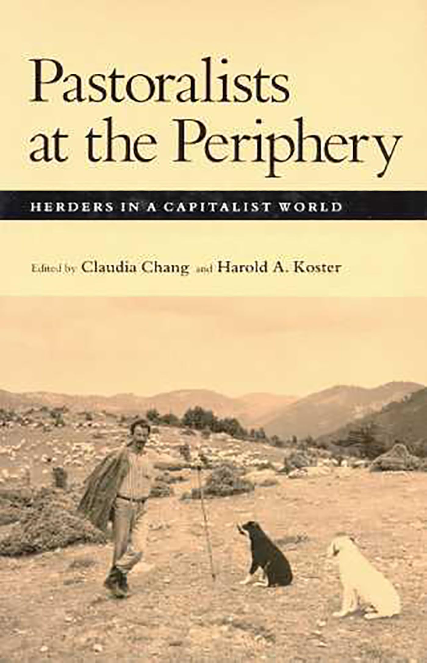 Pastoralists at the Periphery: Herders in a Capitalist World Books