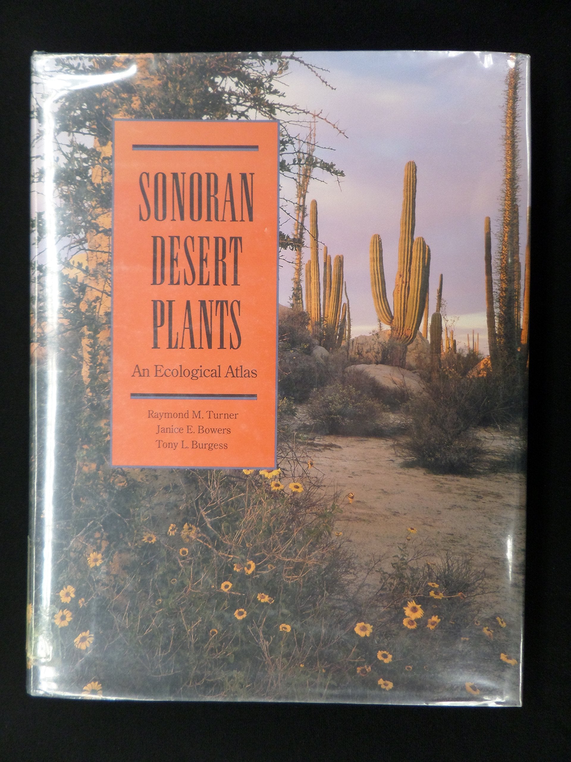 Sonoran Desert Plants: An Ecological Atlas Natural Sciences