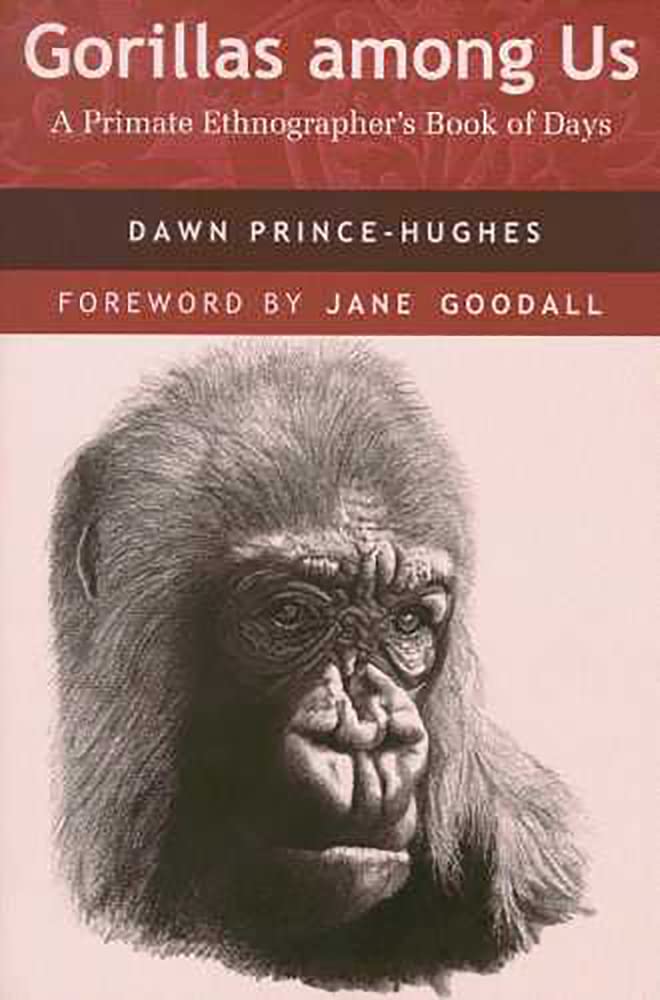 Gorillas Among Us: A Primate Ethnographer's Book of Days Mathematics