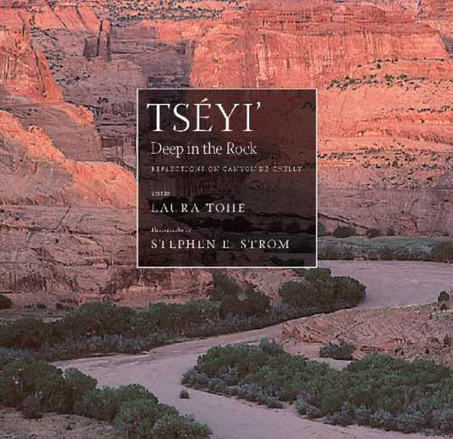 Tséyi' / Deep in the Rock: Reflections on Canyon de Chelly: Reflections on Canyon de Chelly Volume 54 (Sun Tracks, Band 54) Poetry