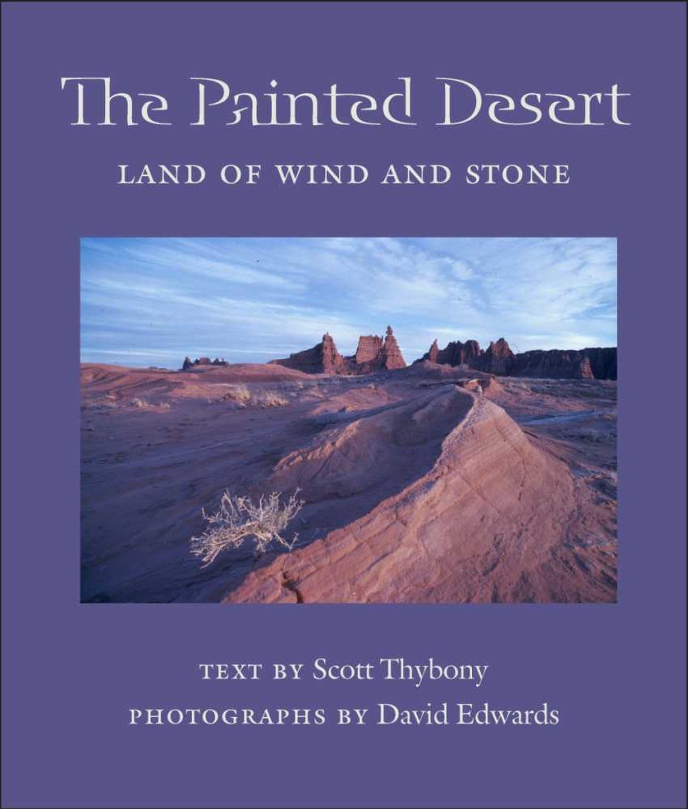 The Painted Desert: Land of Wind And Stone (Desert Places) Mathematics