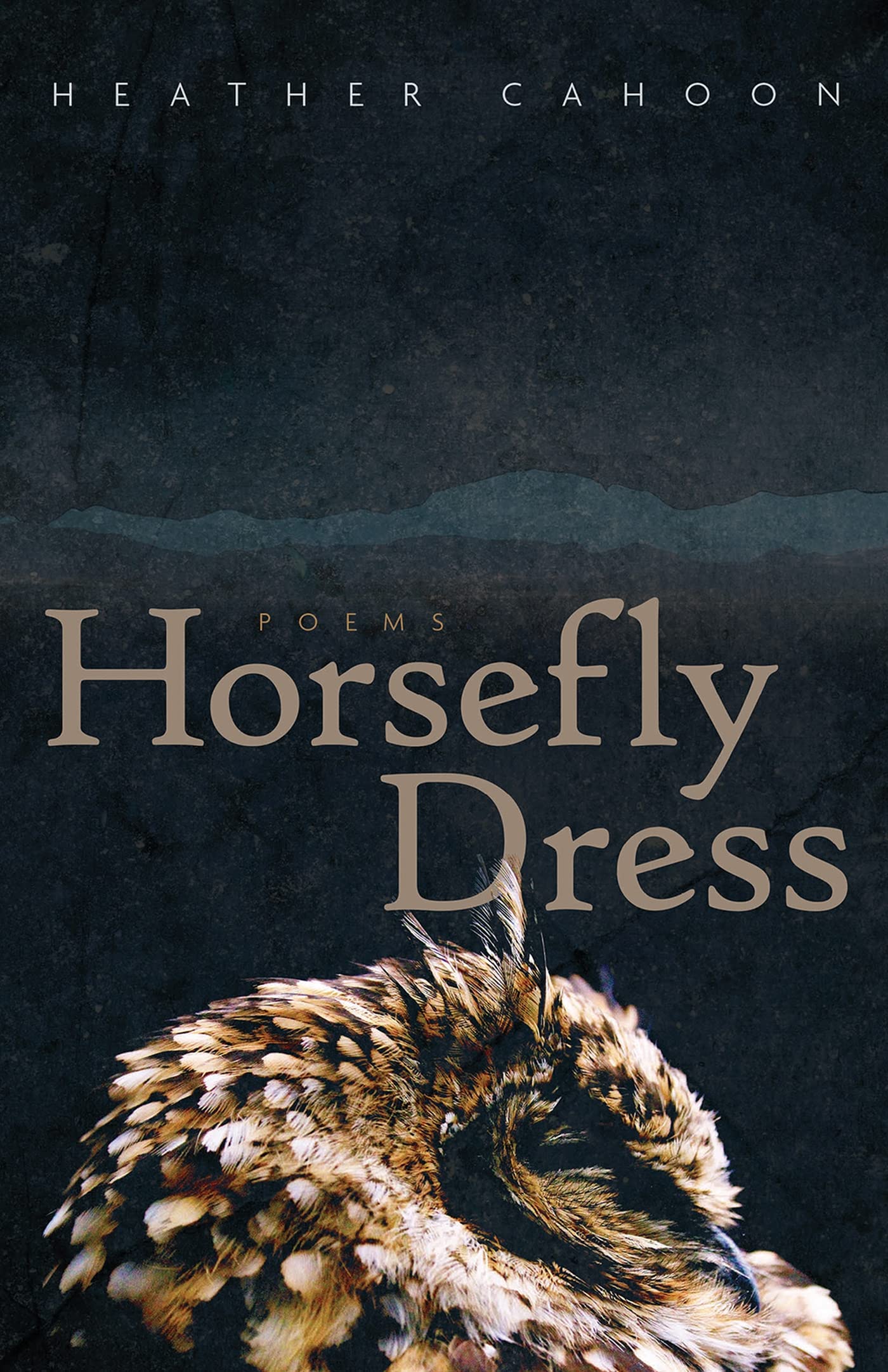 Horsefly Dress: Poems Volume 87 (Sun Tracks, 87, Band 87) Books