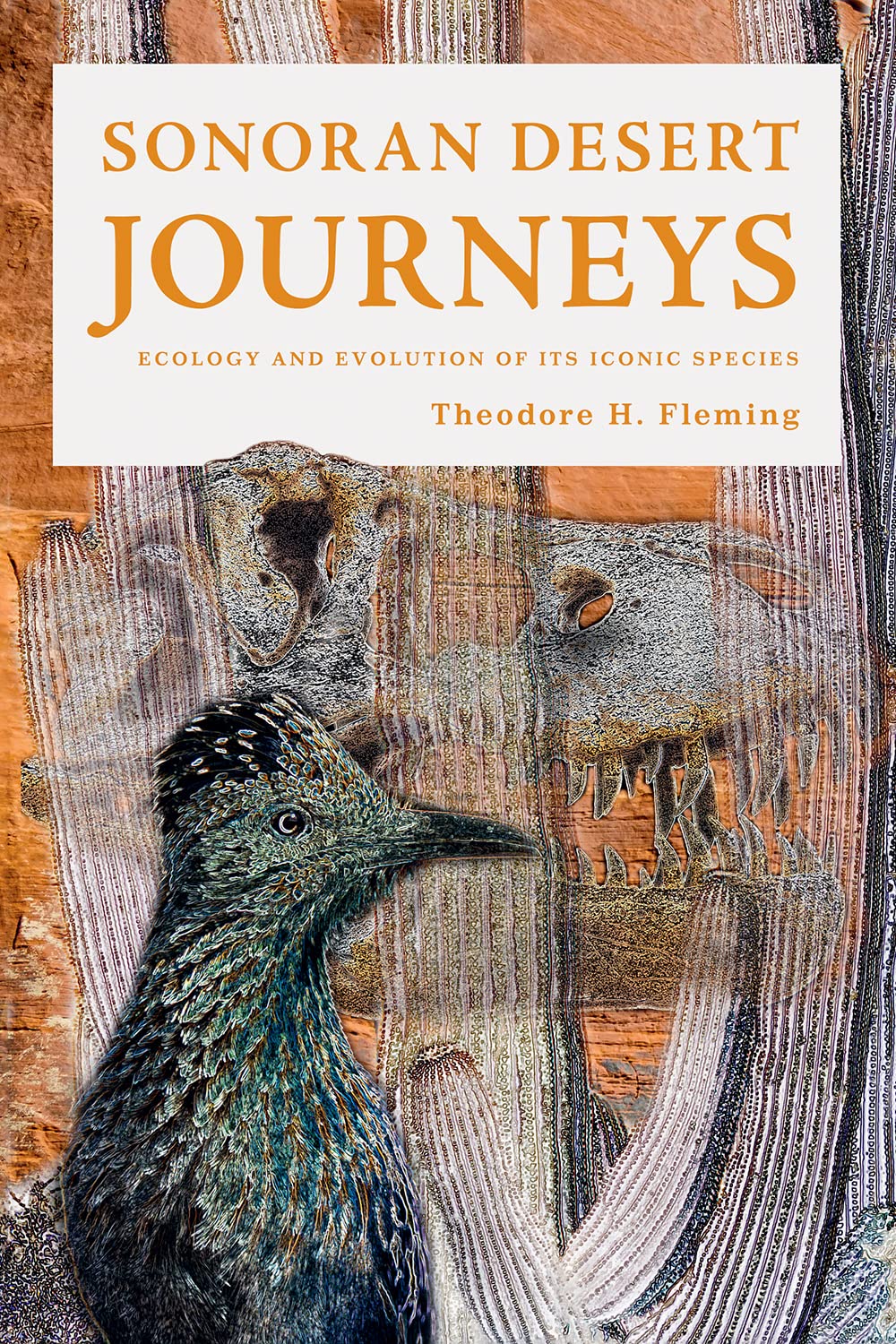 Sonoran Desert Journeys: Ecology and Evolution of Its Iconic Species Mathematics