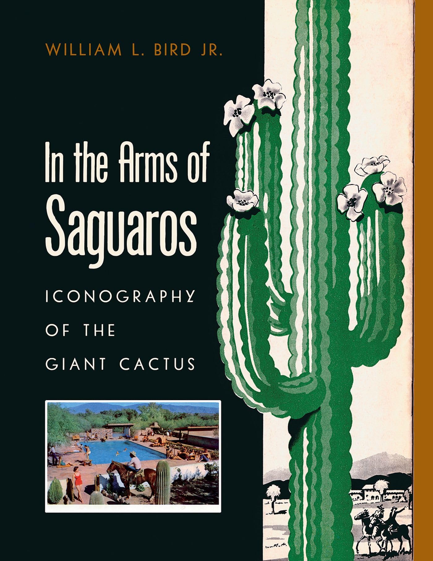 In the Arms of Saguaros: Iconography of the Giant Cactus Mathematics