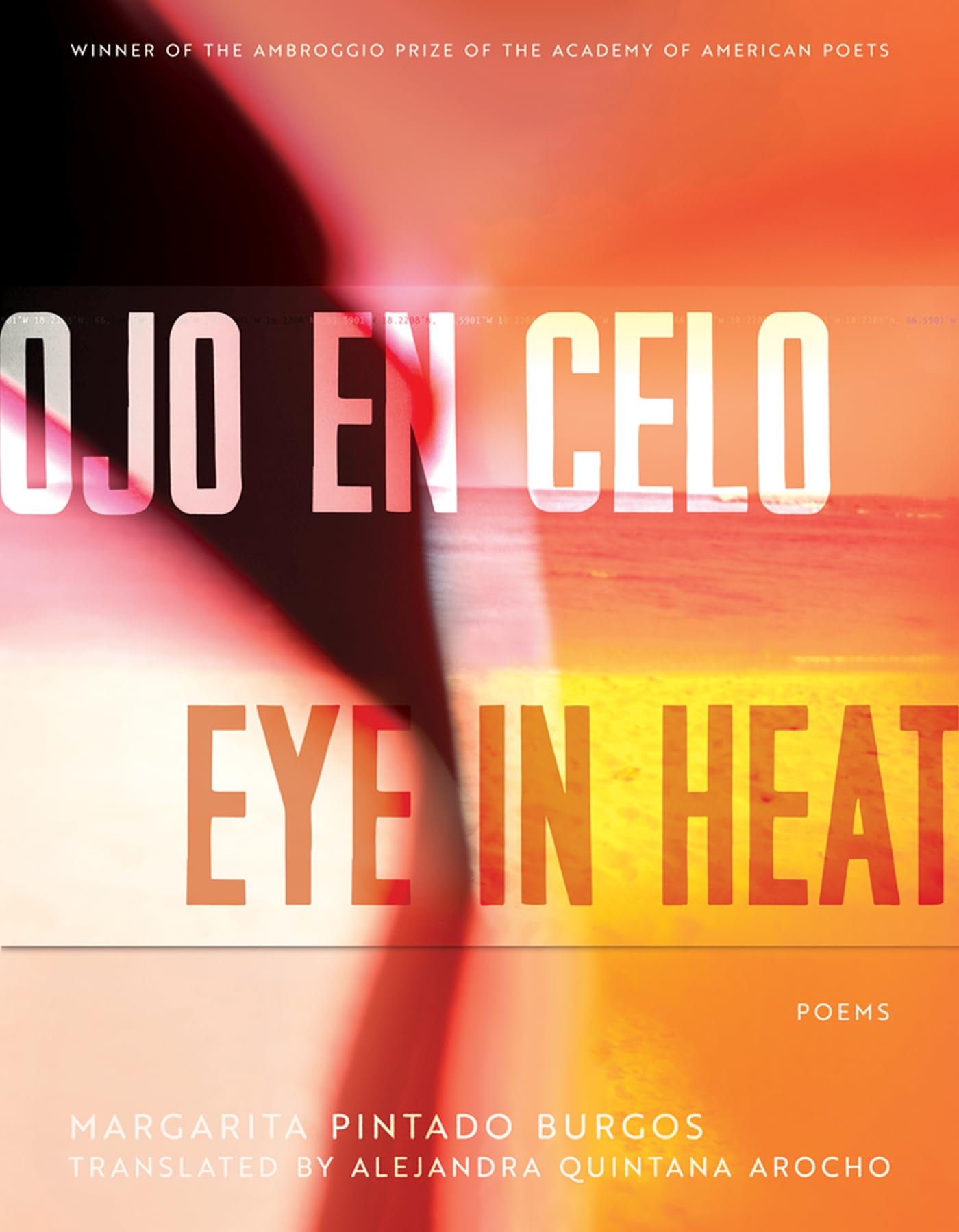 Ojo En Celo / Eye in Heat: Poems (Ambroggio Prize) Social Sciences