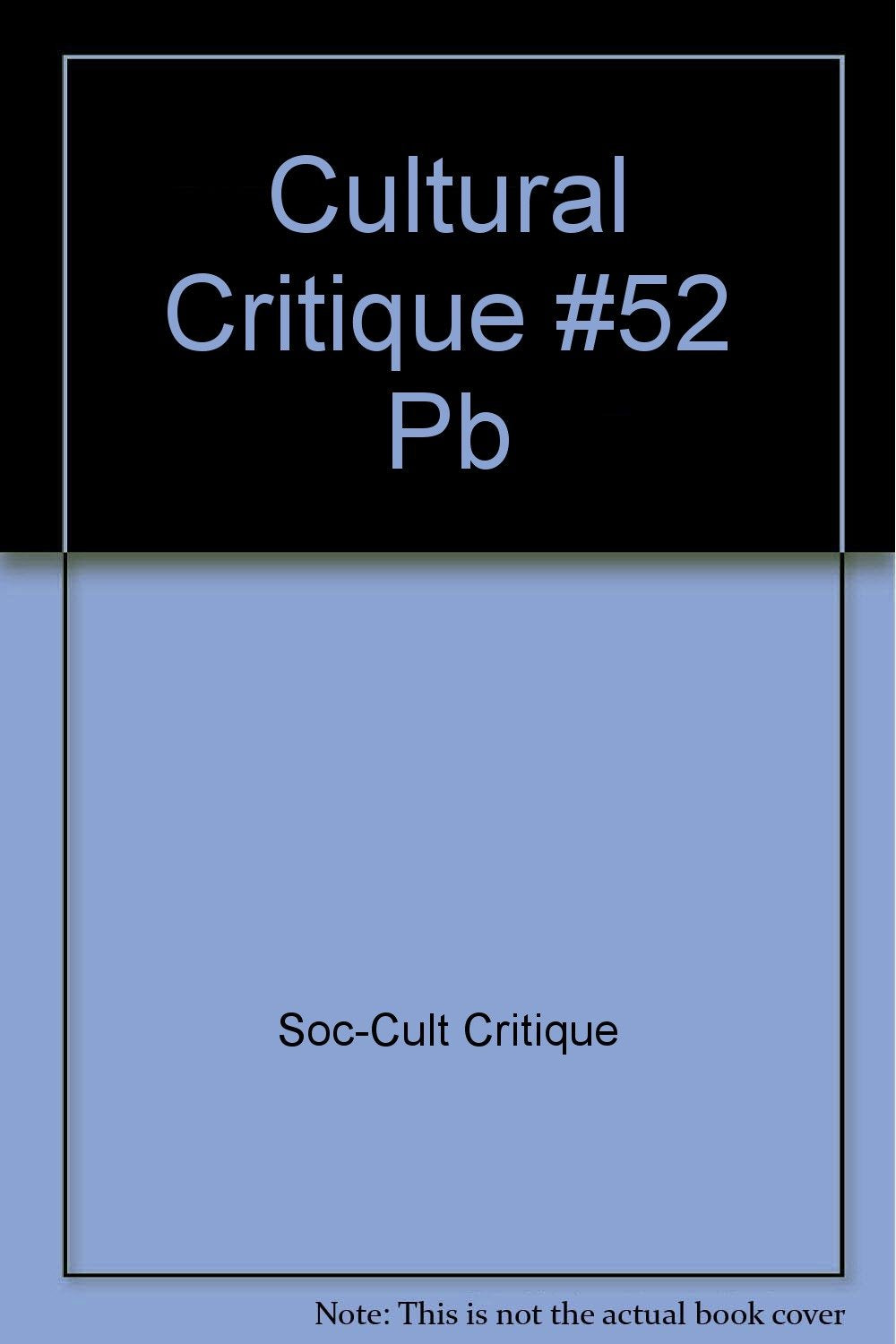 Cultural Critique 52: Everyday Life Books