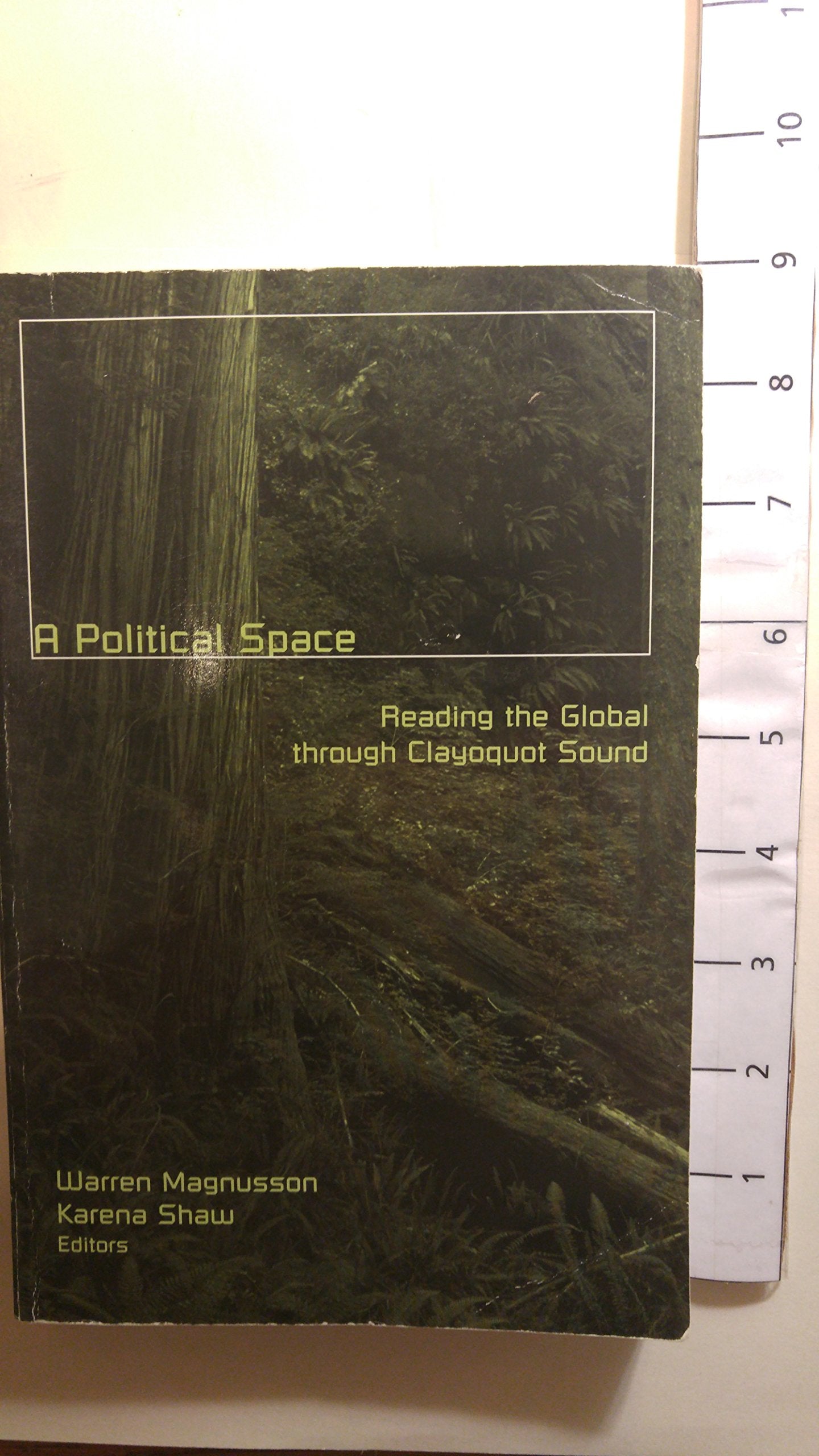 Political Space: Reading The Global Through Clayoquot Sound: Reading the Global Through Clayoquot Sound Volume 11 (Globalization and Community, Band 11) Books