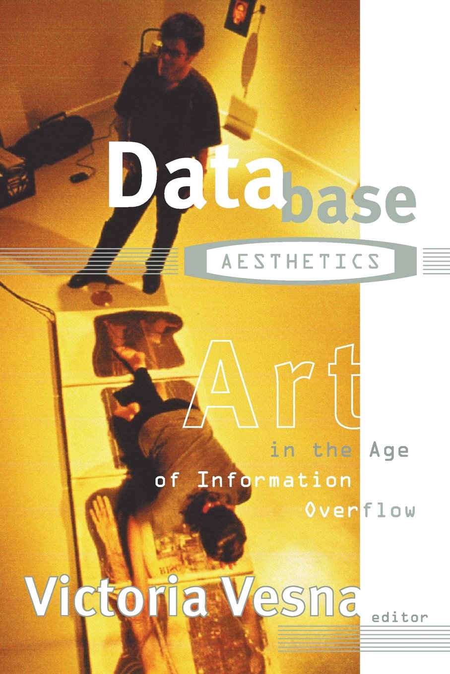 Database Aesthetics: Art in the Age of Information Overflow (Electronic Mediations, Band 2) Computer Science
