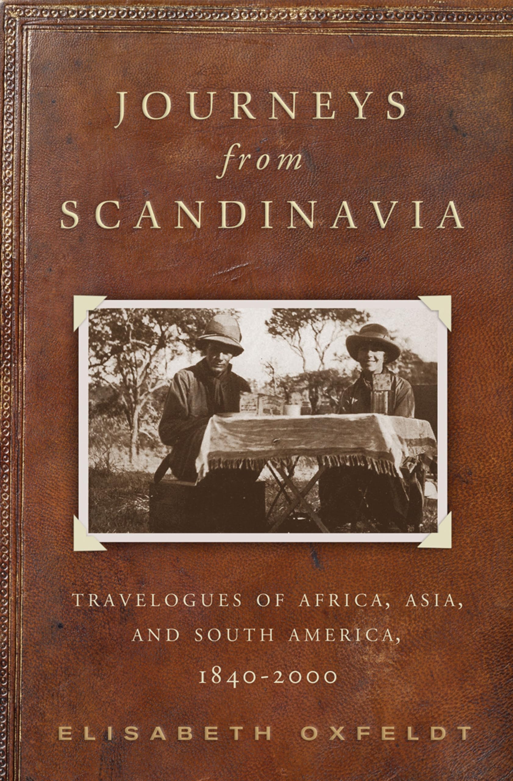 Journeys from Scandinavia: Travelogues of Africa, Asia, and South America, 1840-2000 Contemporary literature Books