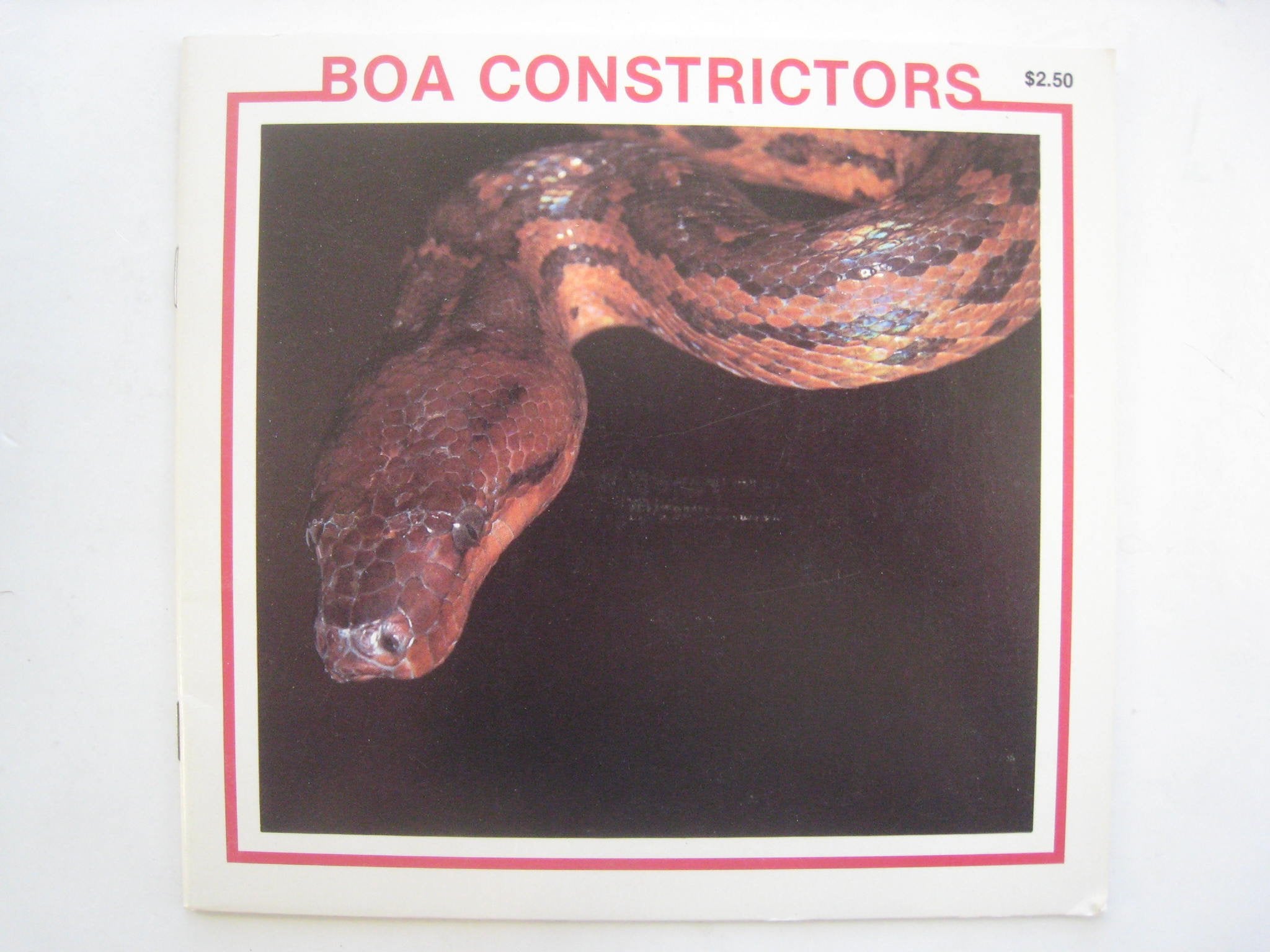 Boa Constrictors: The Snake Discovery Library Books