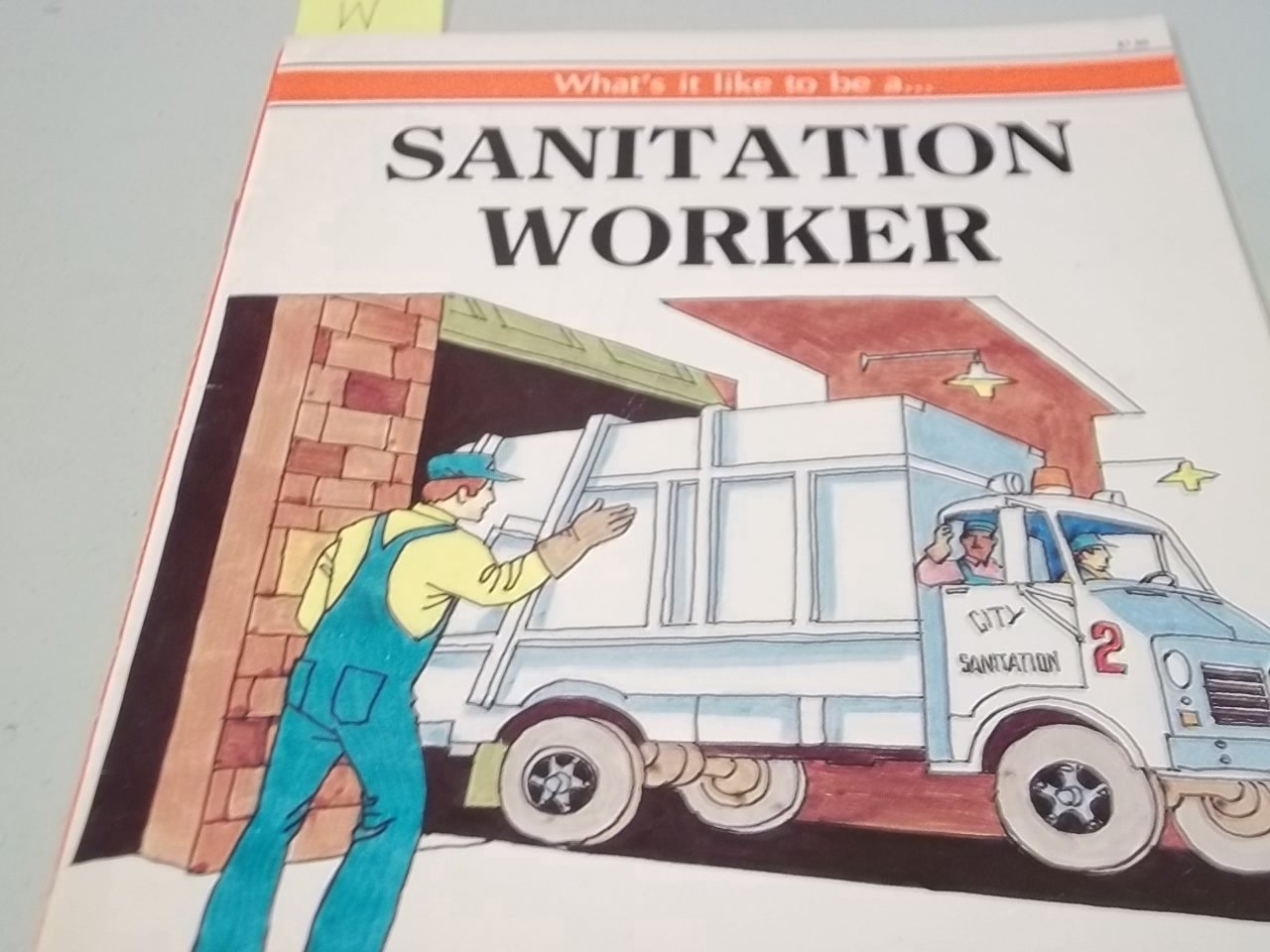 What's It Like to Be a Sanitation Worker Books